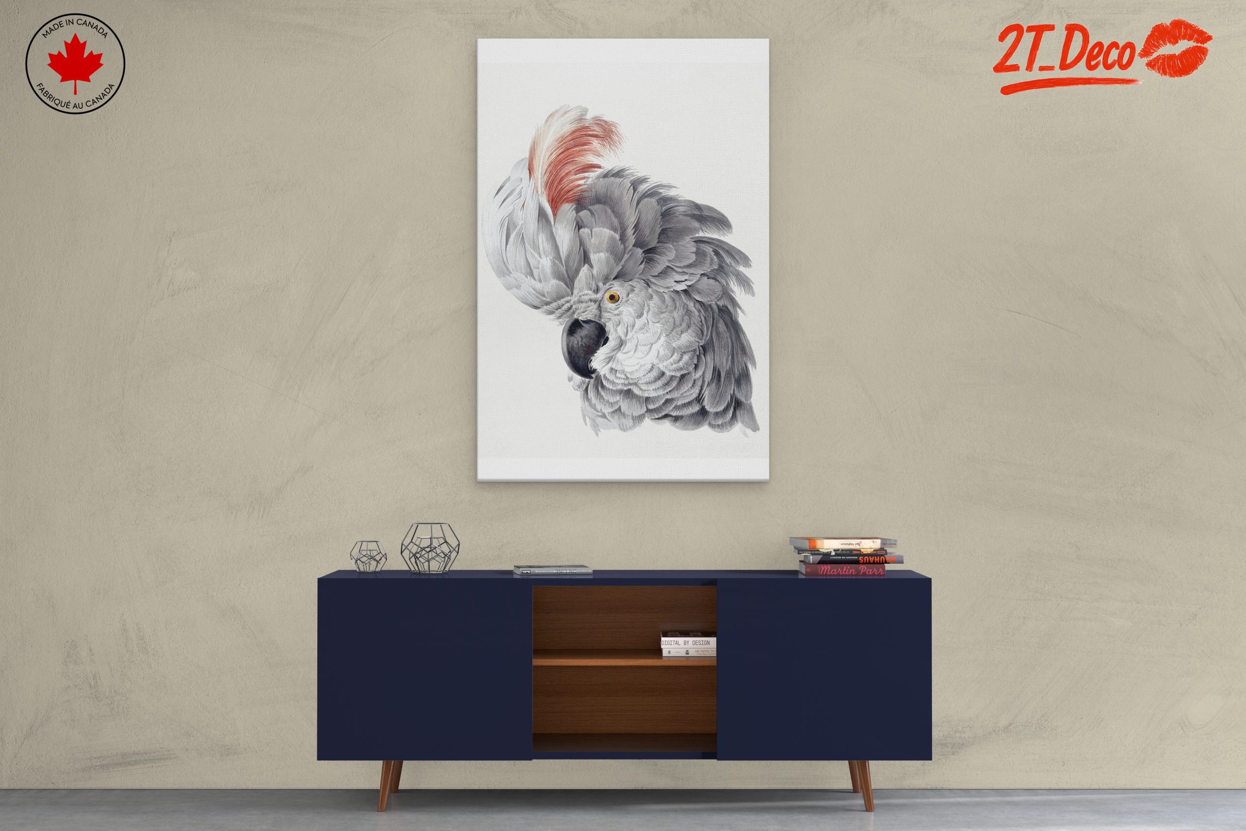 Detailed Parrot Illustration - Image 3