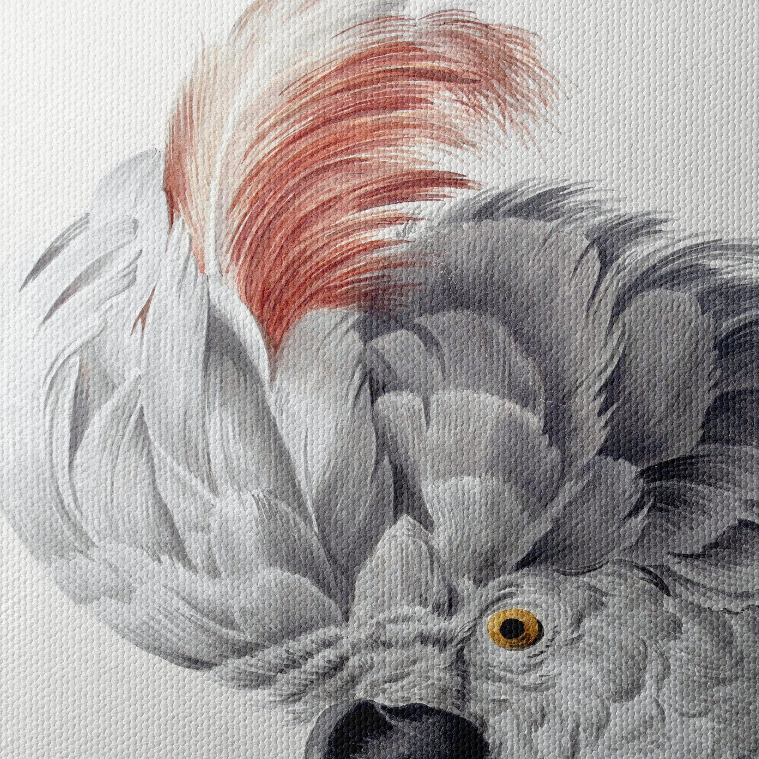 Detailed Parrot Illustration - Image 4