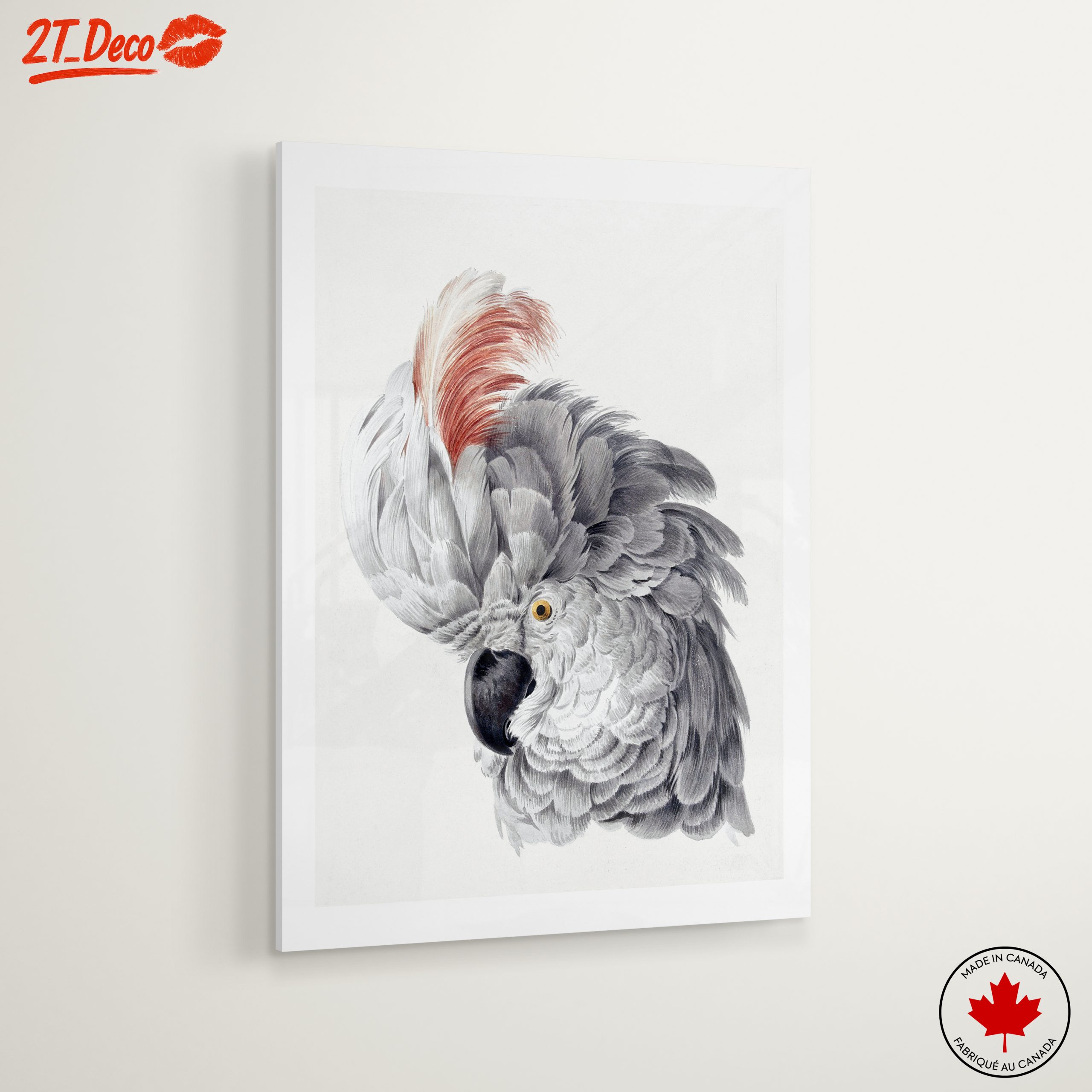 Detailed Parrot Illustration - Image 6