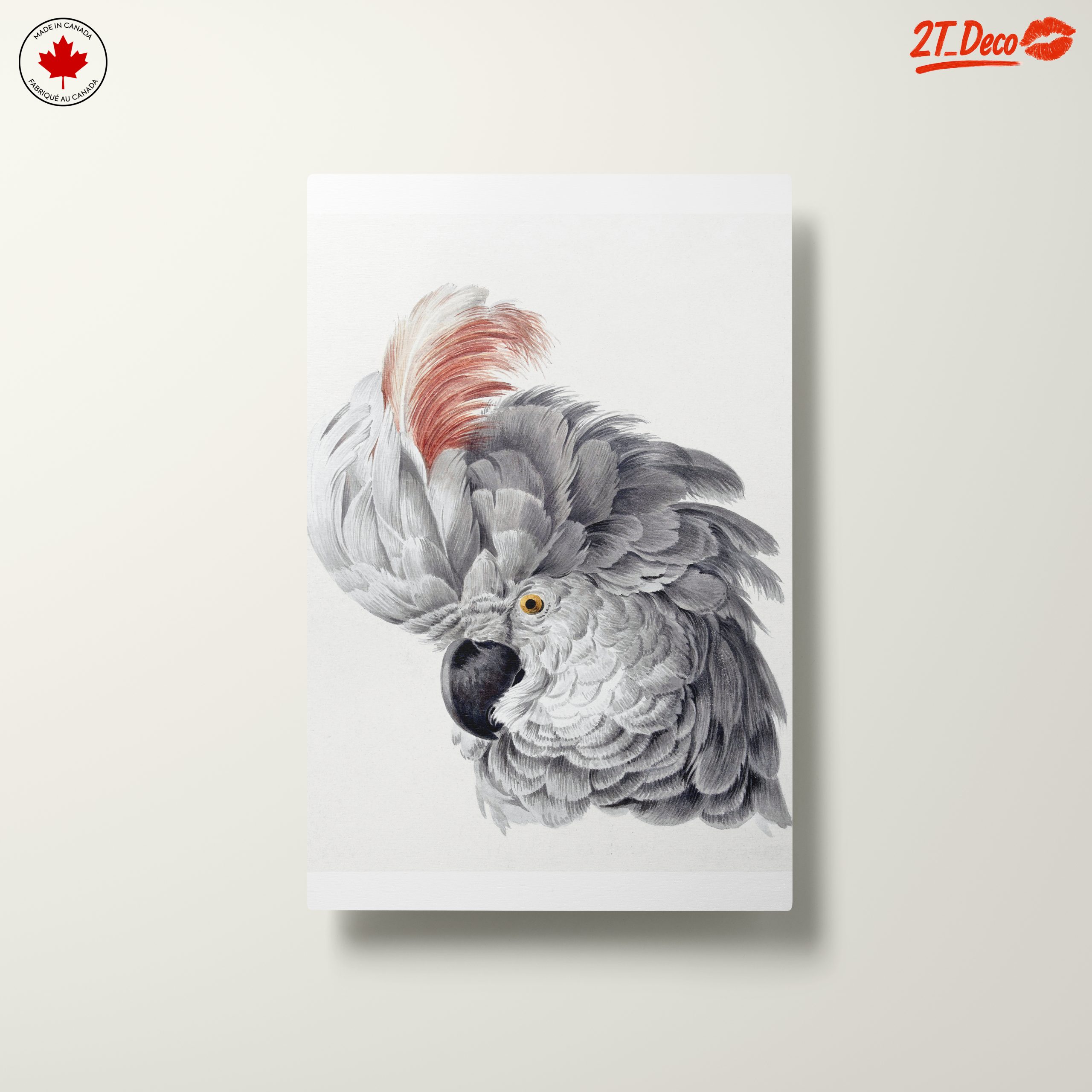 Detailed Parrot Illustration - Image 10