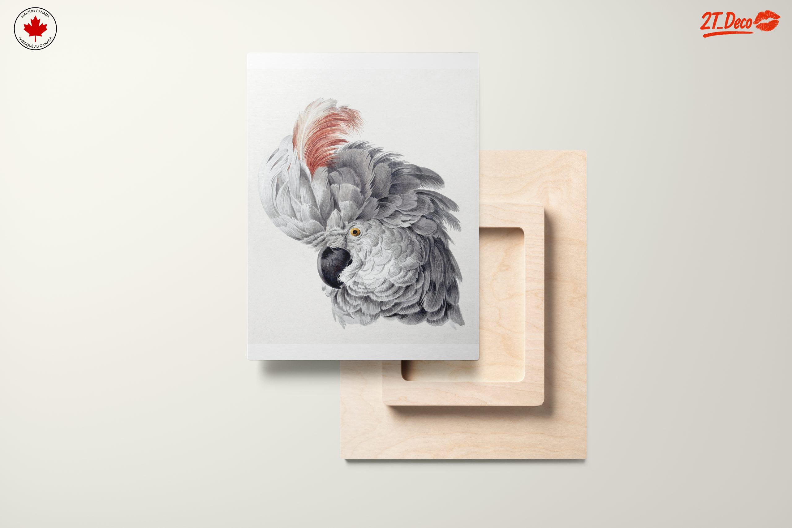 Detailed Parrot Illustration - Image 11