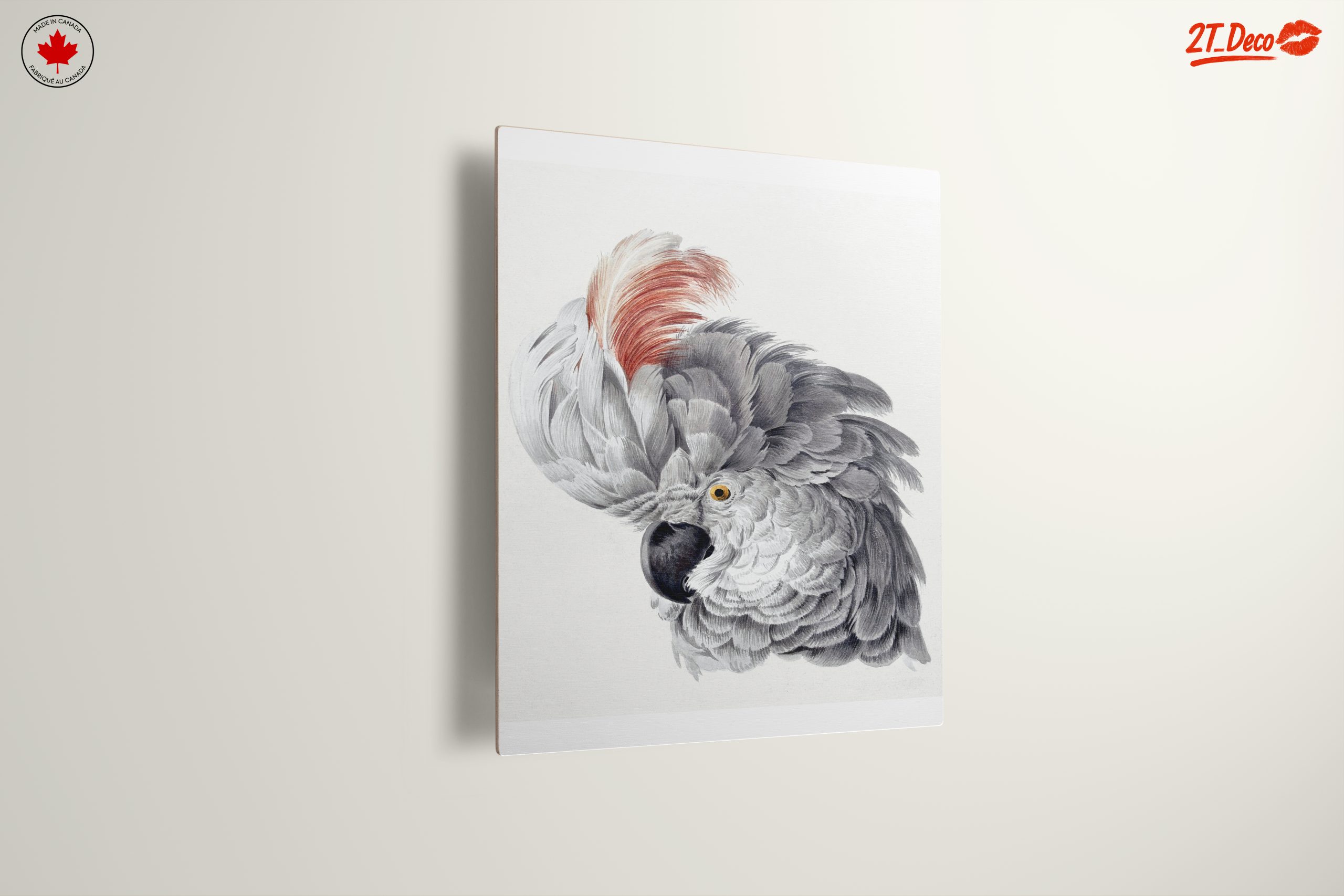 Detailed Parrot Illustration - Image 13
