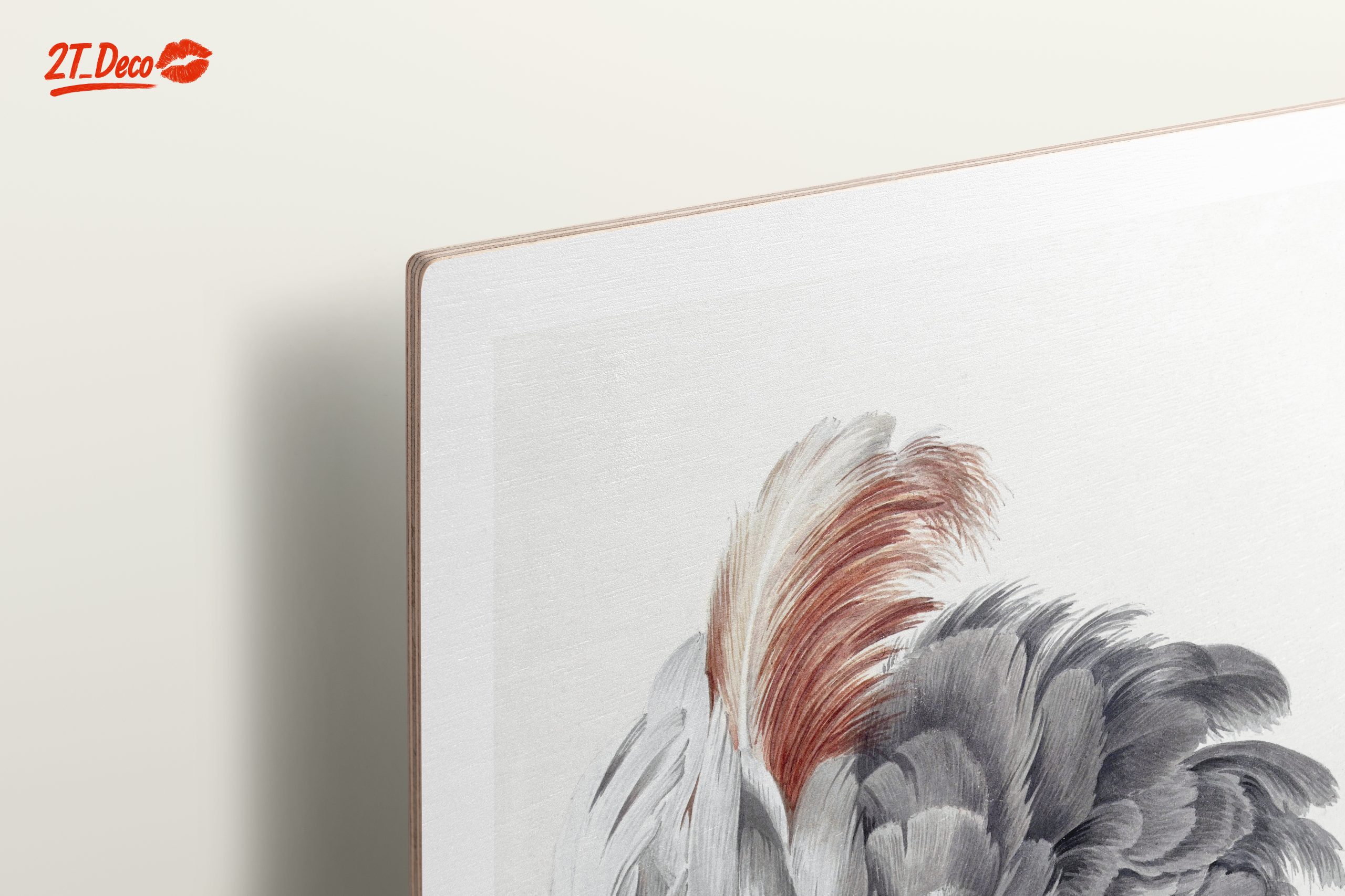Detailed Parrot Illustration - Image 15