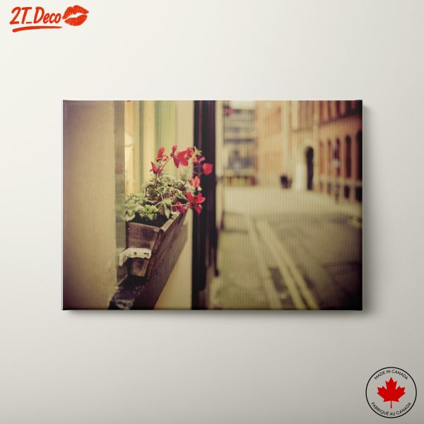 Charming Flower Window Box in Urban Setting