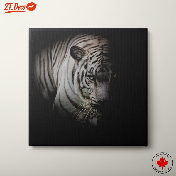 Majestic White Tiger Wall Art