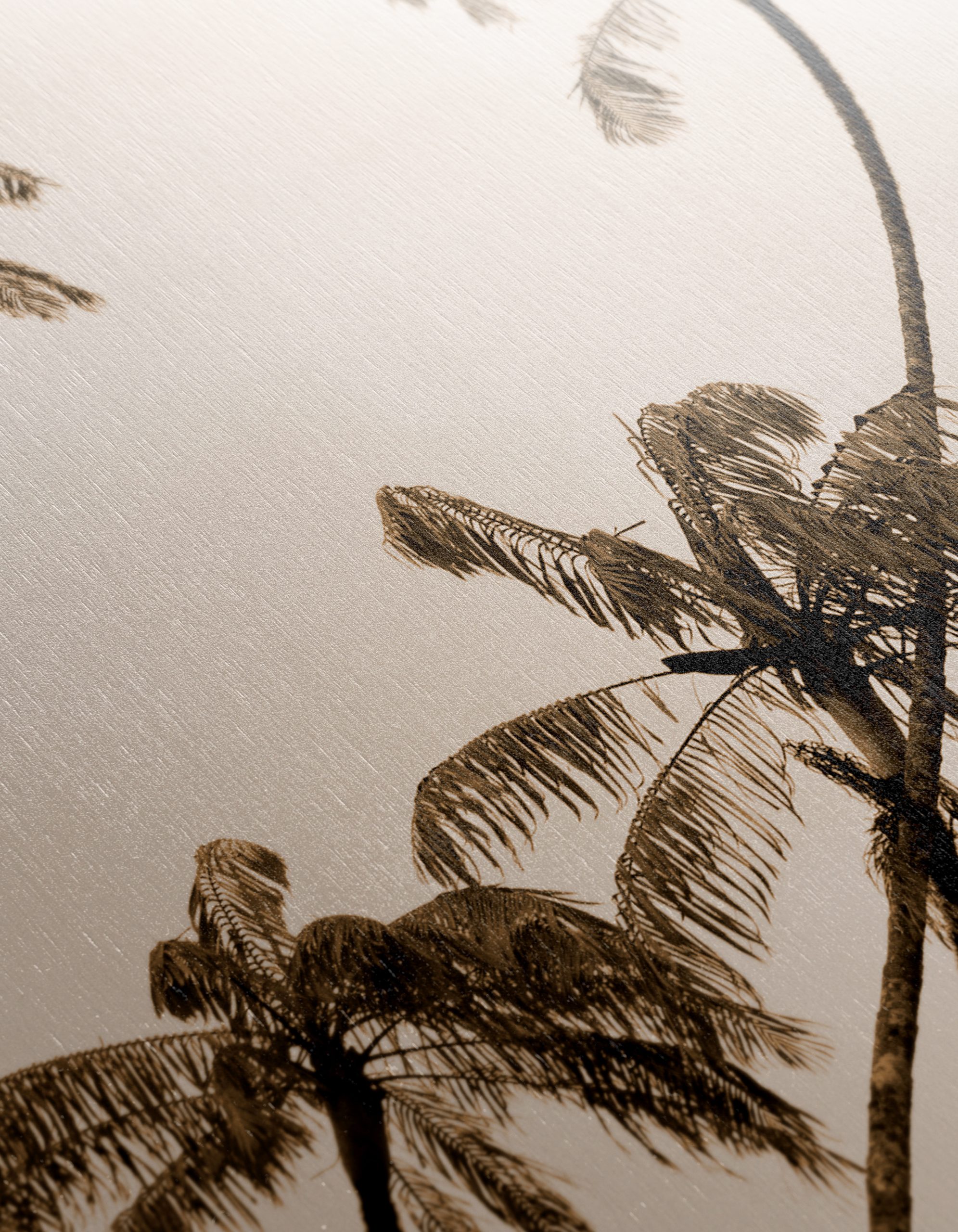 Elegant Palm Trees Silhouette - Image 12
