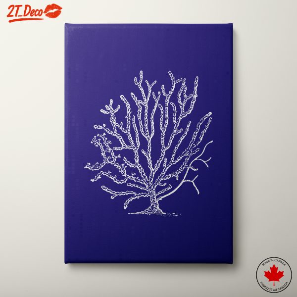 White Coral Line Art on Deep Blue Background