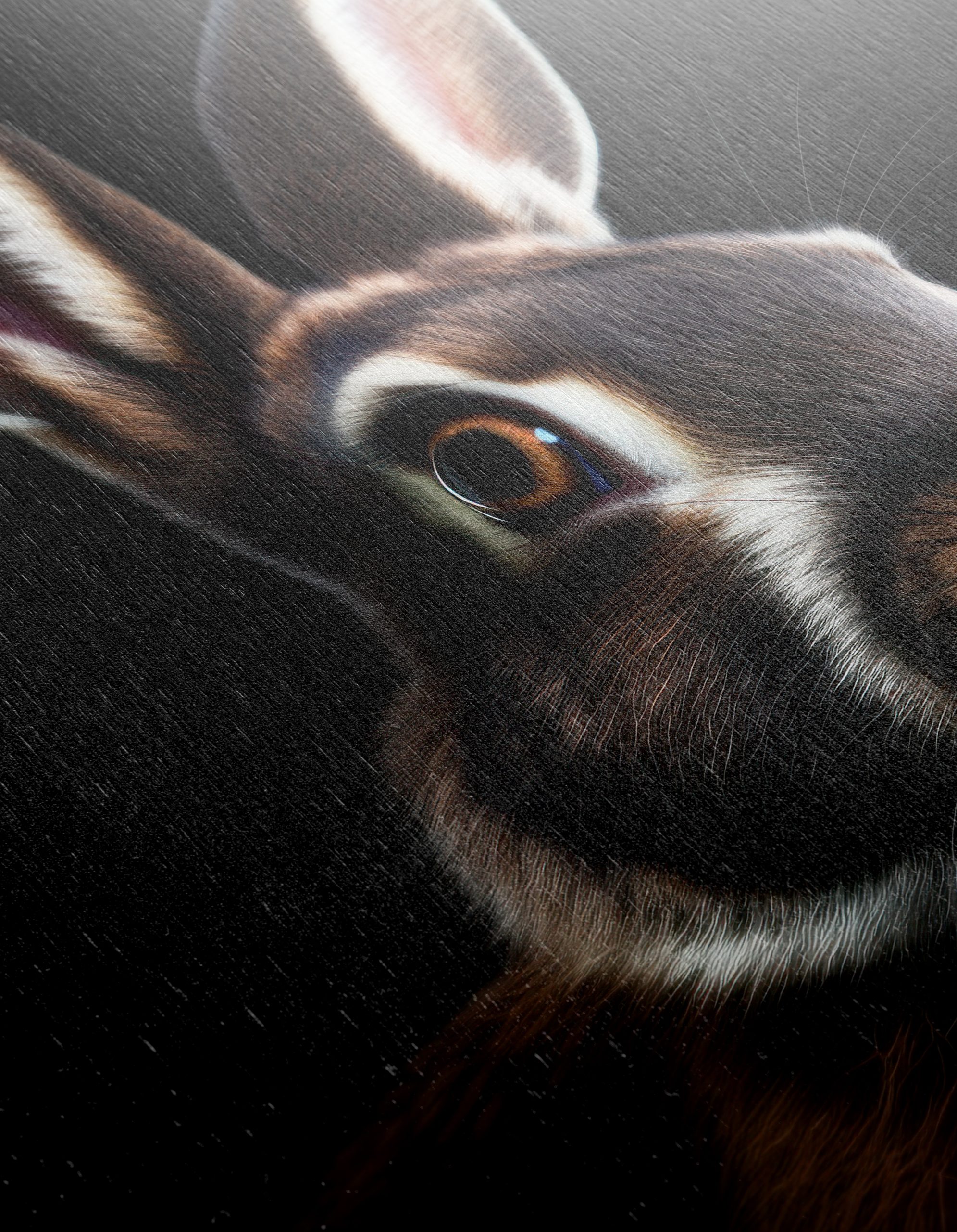 Realistic Rabbit Portrait in Dark Background - Image 12