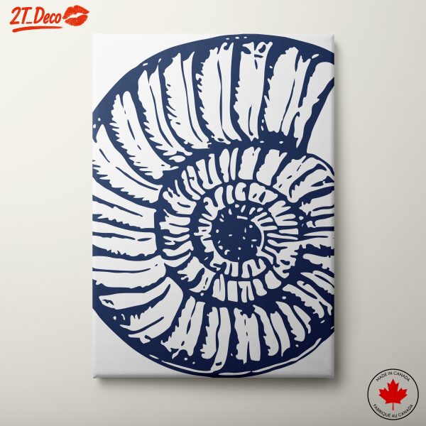 Nautilus Shell Art for Nautical Decor