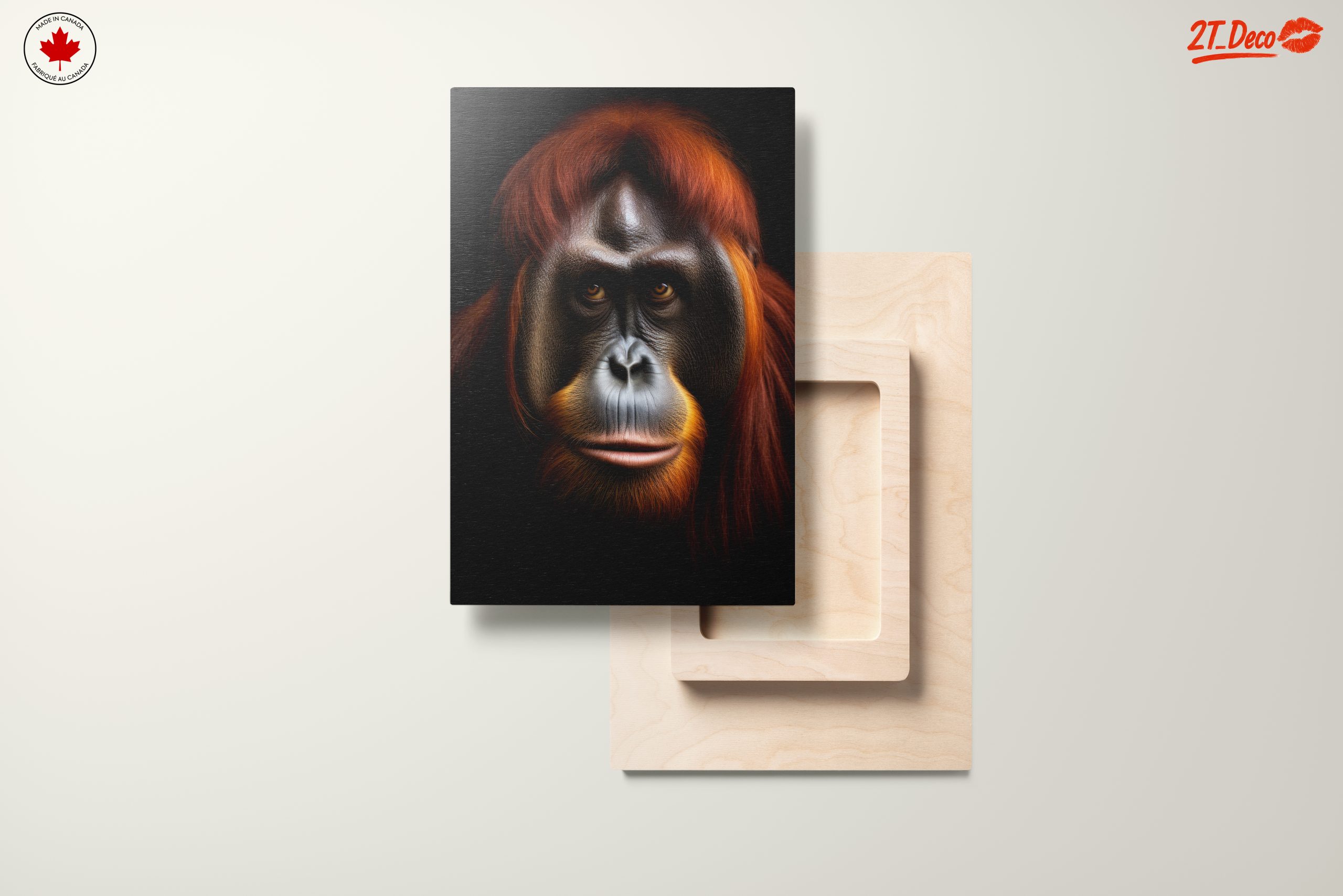 Orangutan Portrait with Rich Detail - Image 11