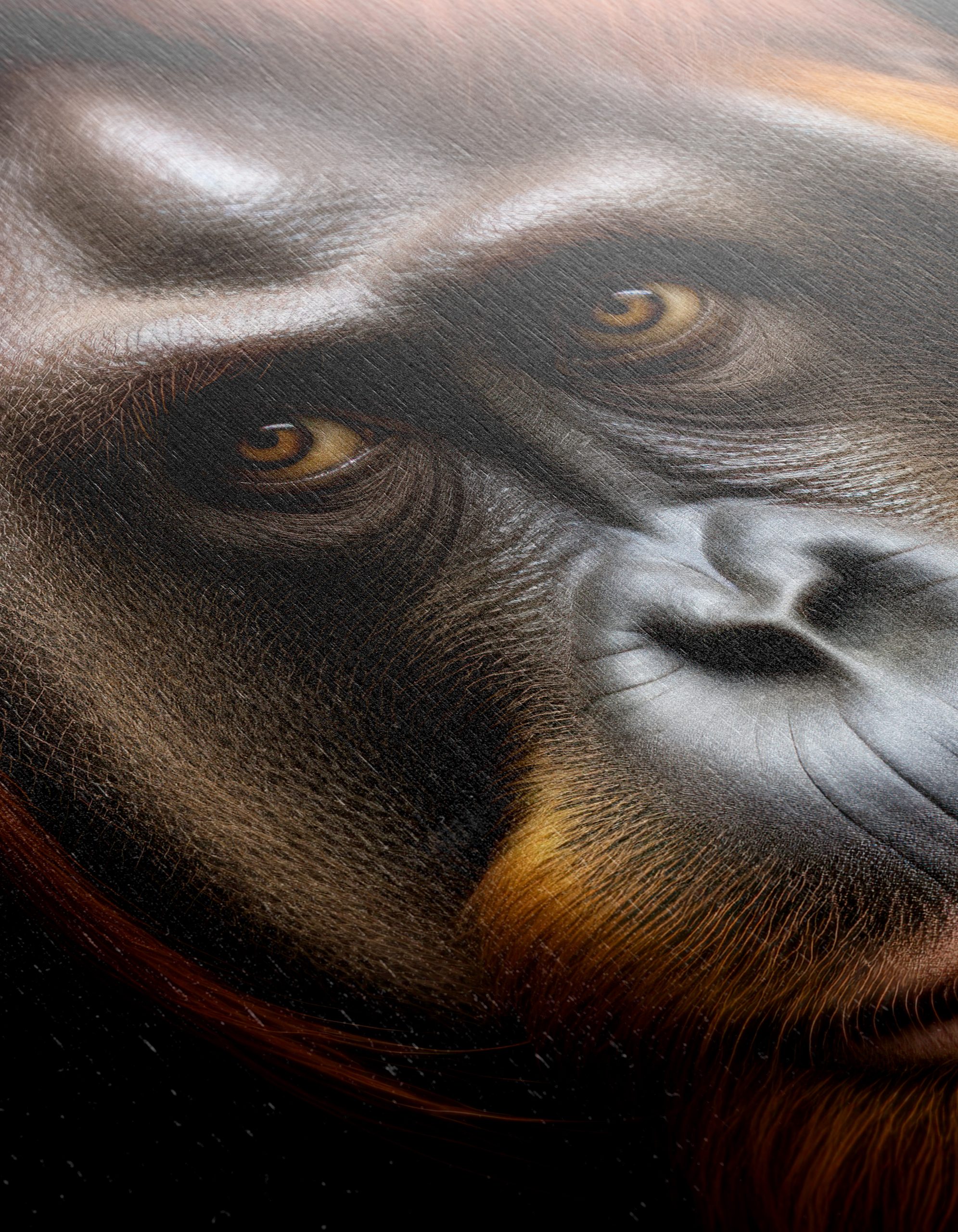Orangutan Portrait with Rich Detail - Image 12