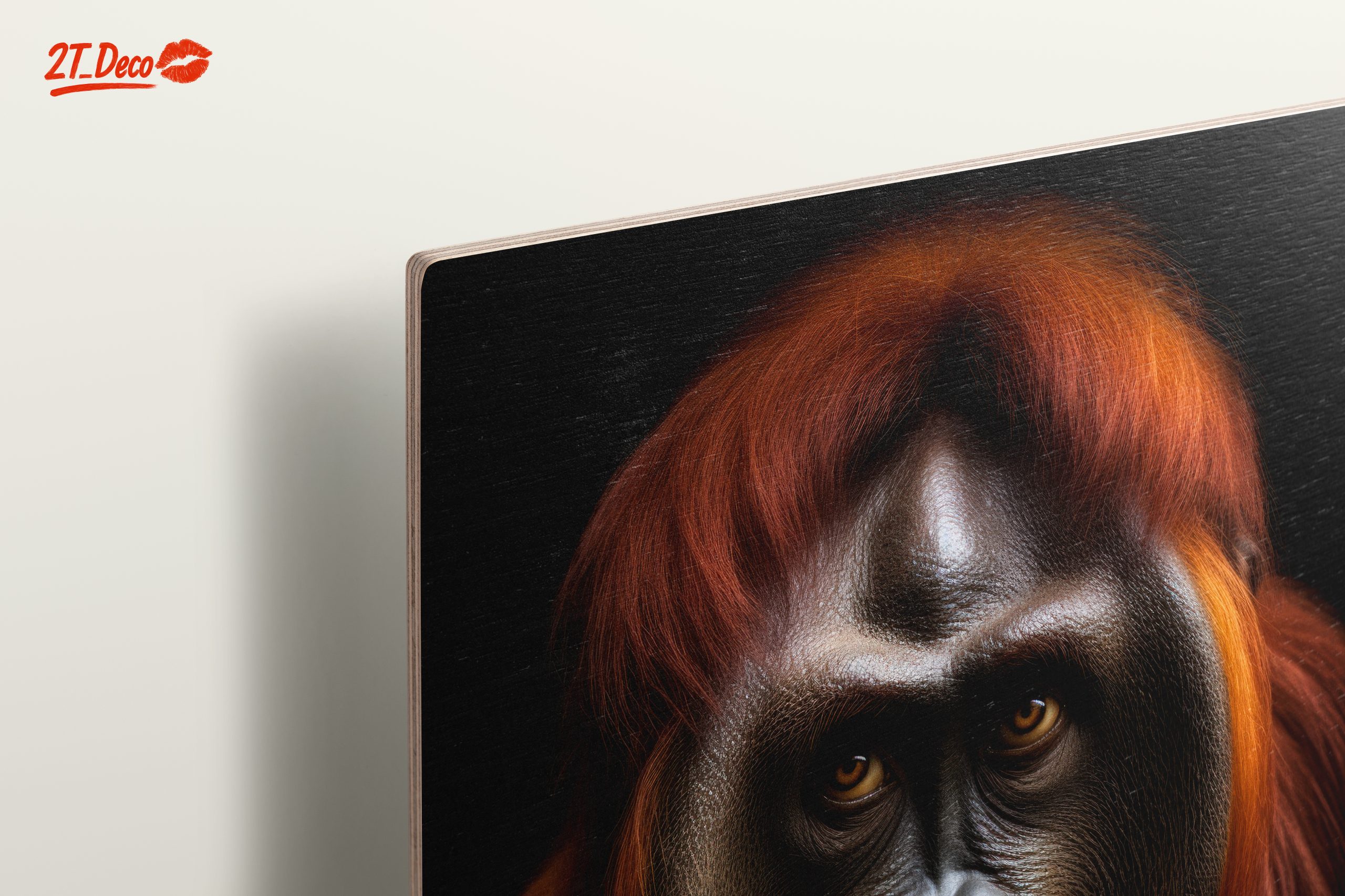 Orangutan Portrait with Rich Detail - Image 15
