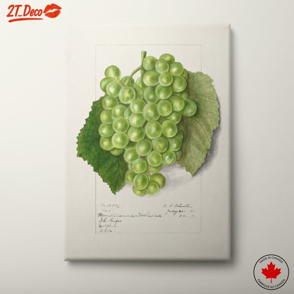 Elegant Grapes Artwork for Kitchen Decor