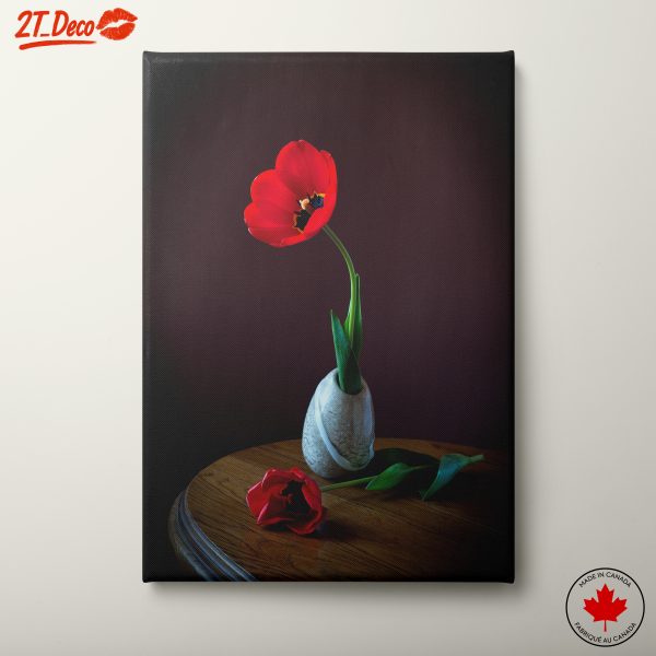 Striking Red Tulip in Elegant Vase