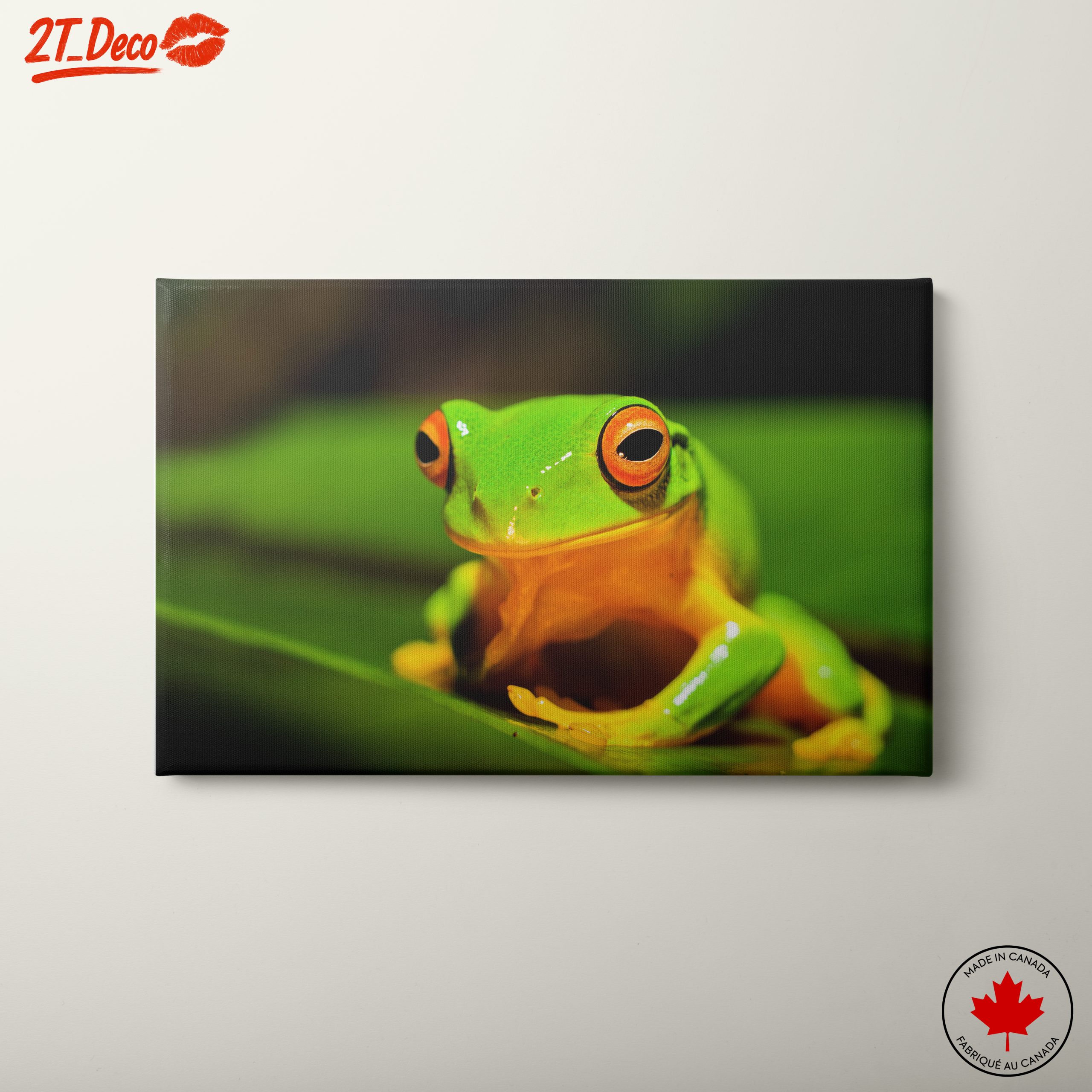 Vibrant Tree Frog on Green Leaf