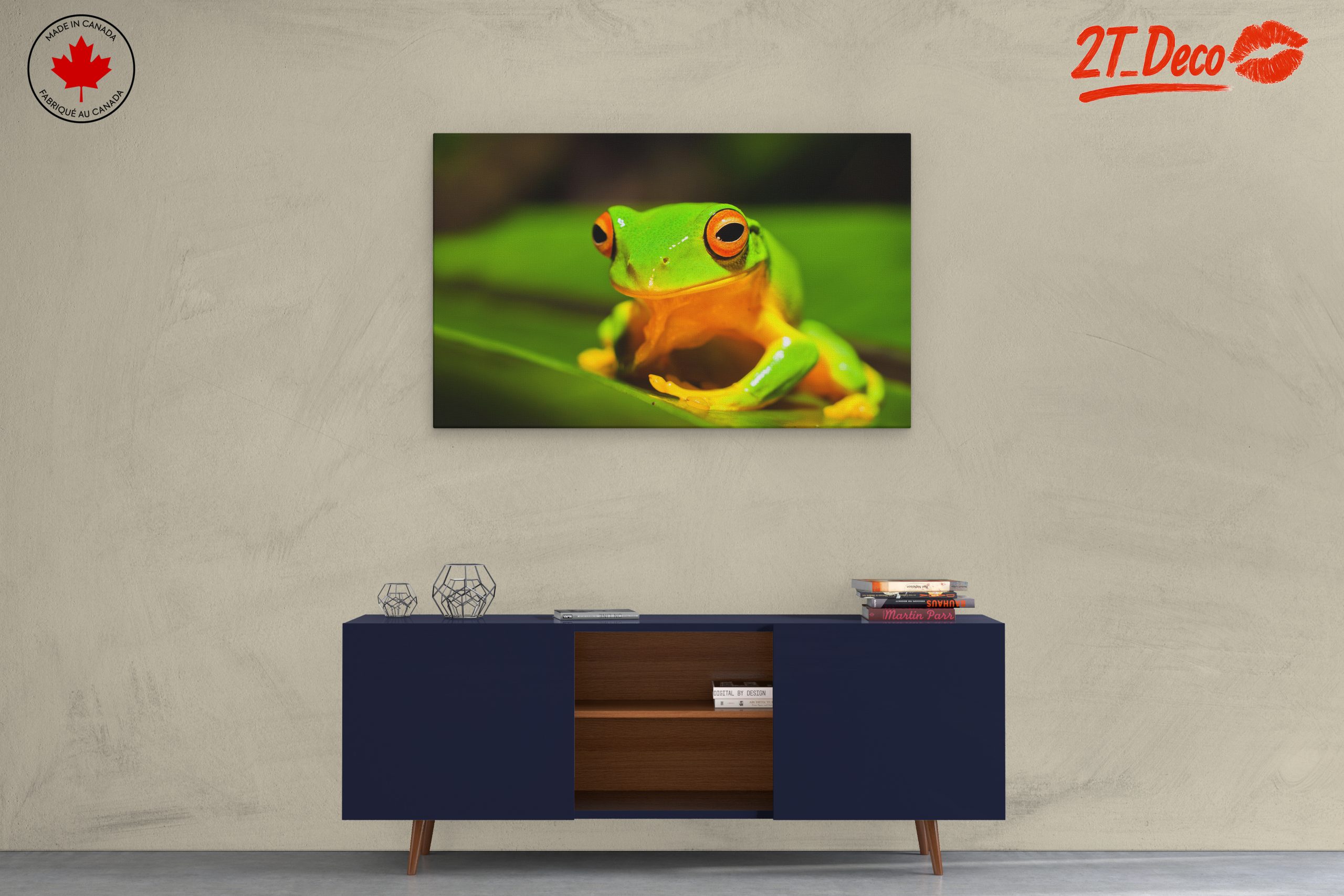 Vibrant Tree Frog on Green Leaf - Image 3