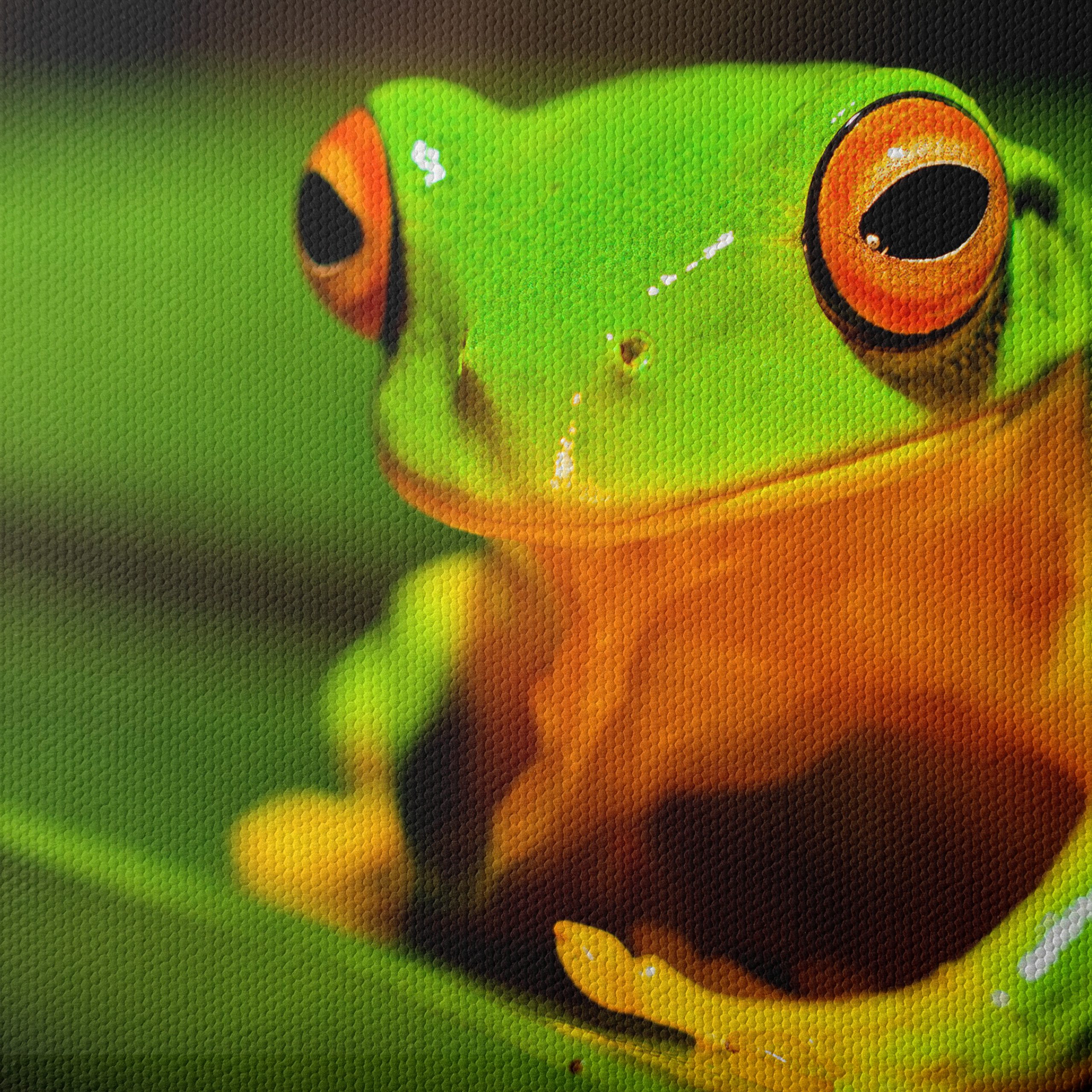 Vibrant Tree Frog on Green Leaf - Image 4