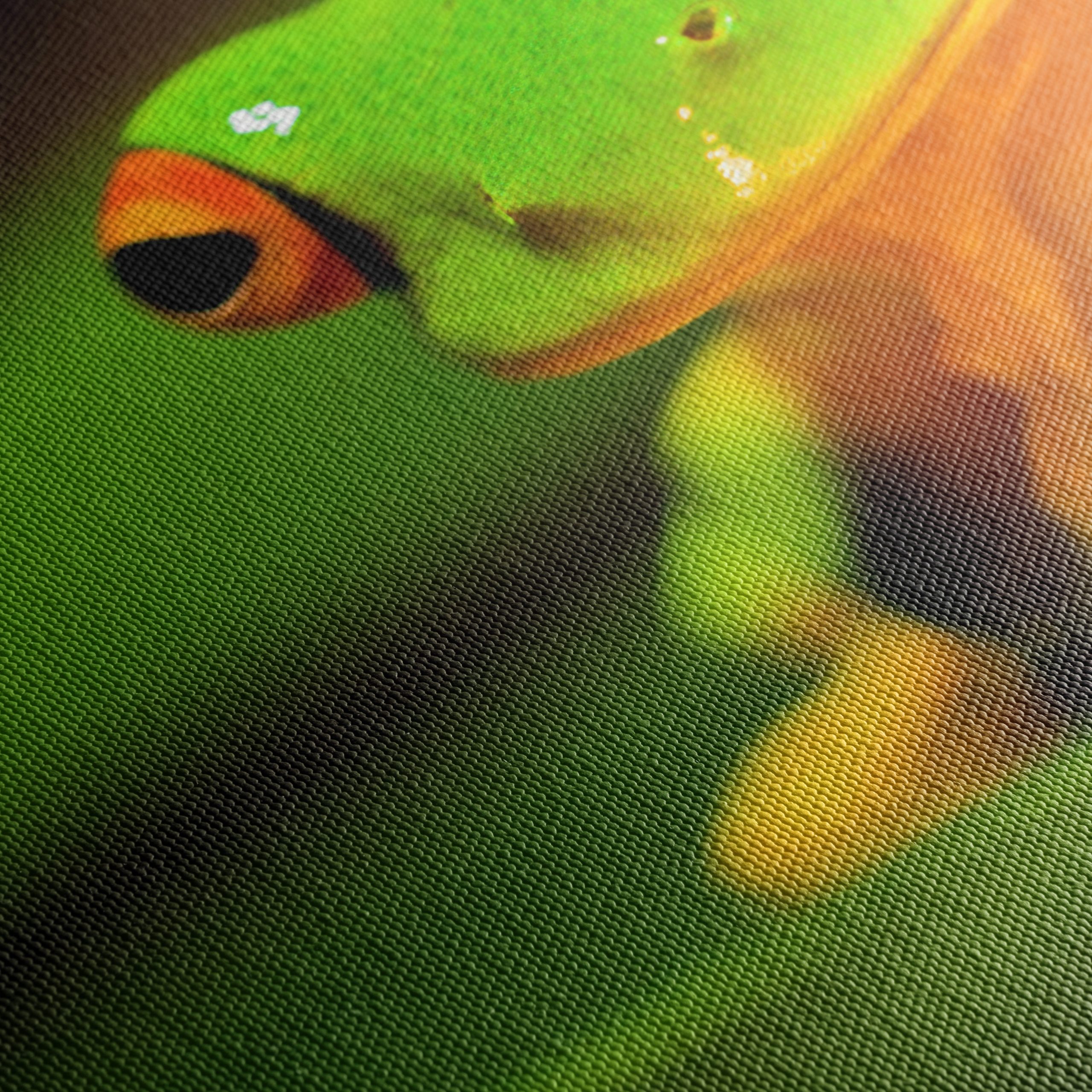 Vibrant Tree Frog on Green Leaf - Image 5