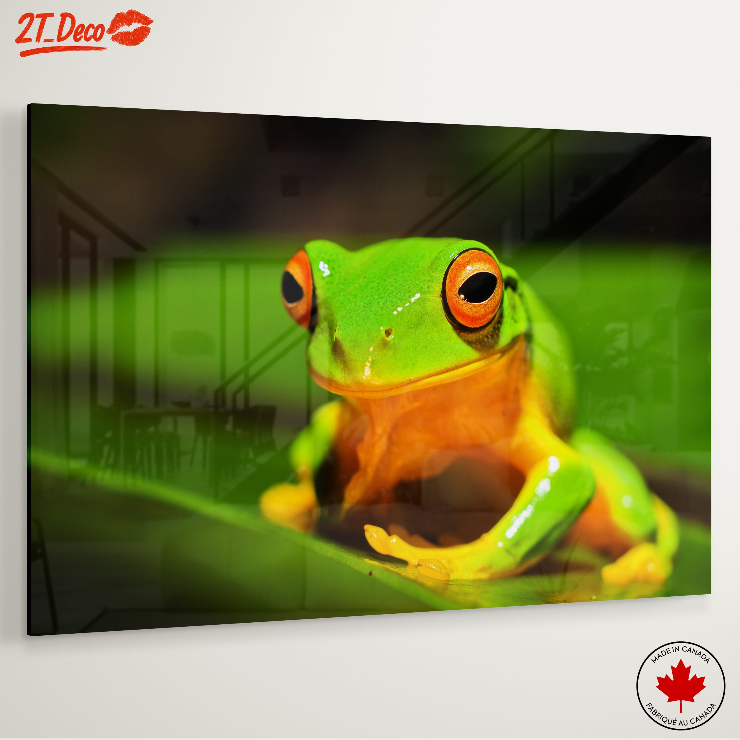 Vibrant Tree Frog on Green Leaf - Image 6