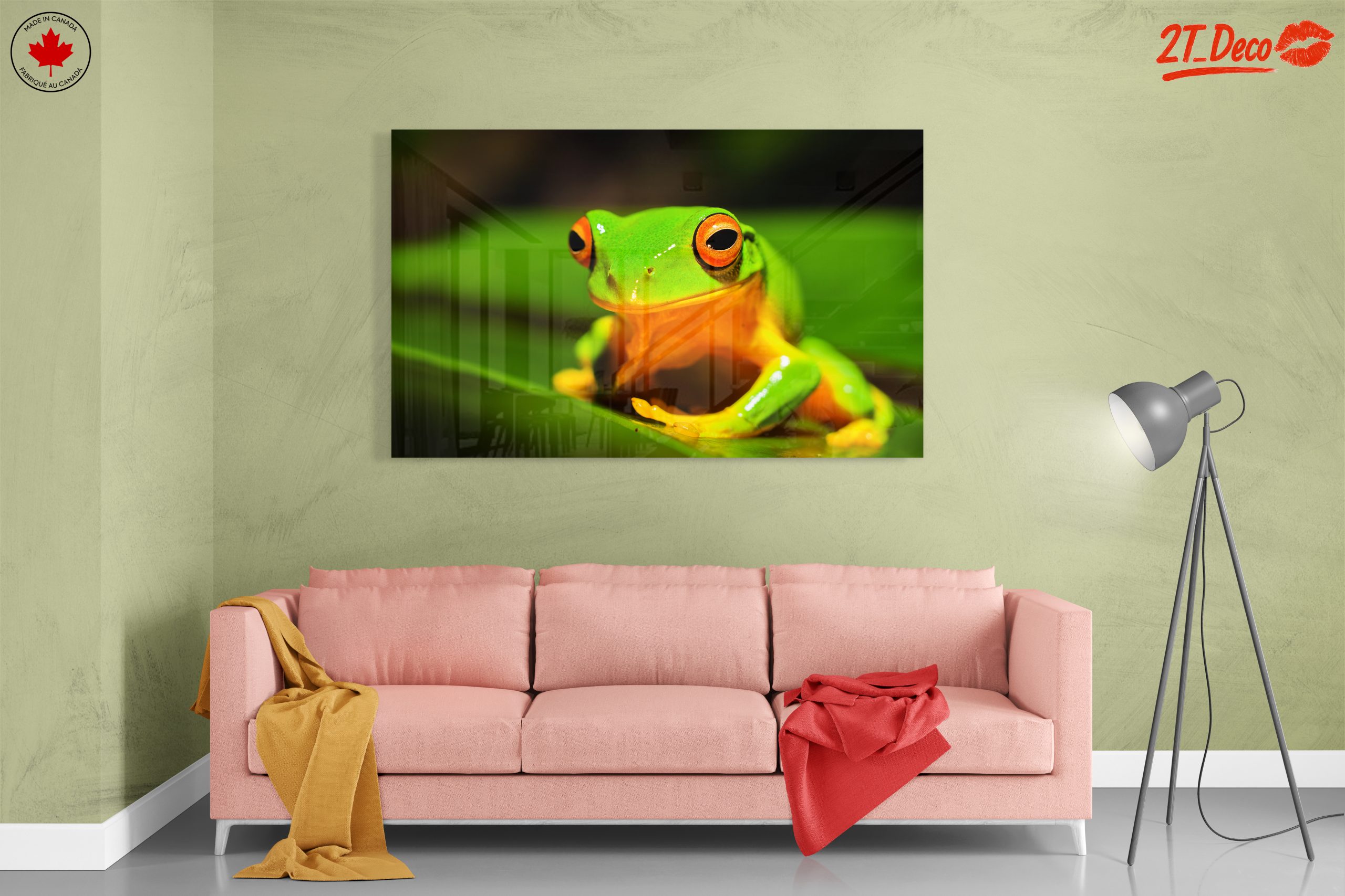 Vibrant Tree Frog on Green Leaf - Image 7