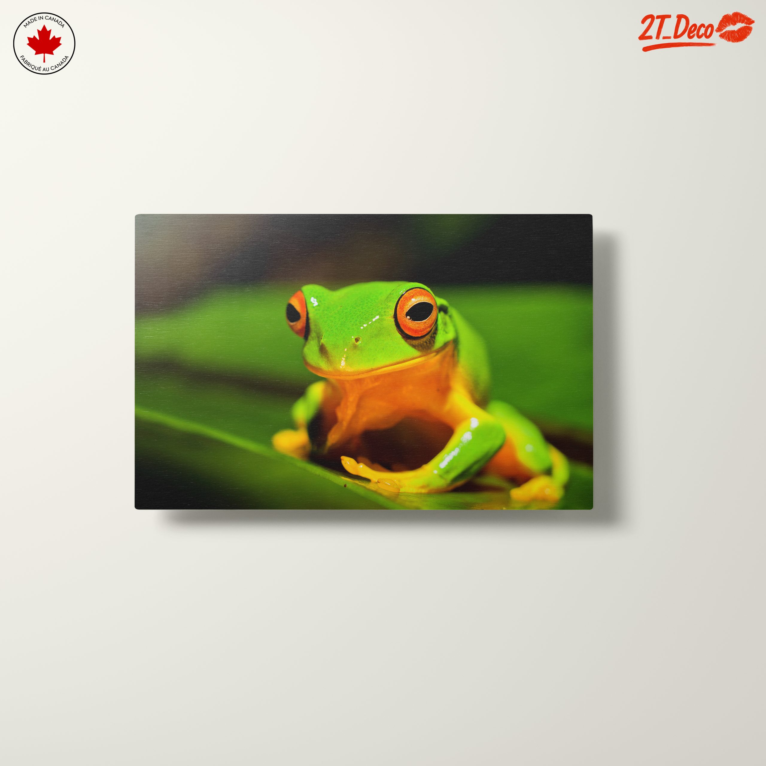Vibrant Tree Frog on Green Leaf - Image 10