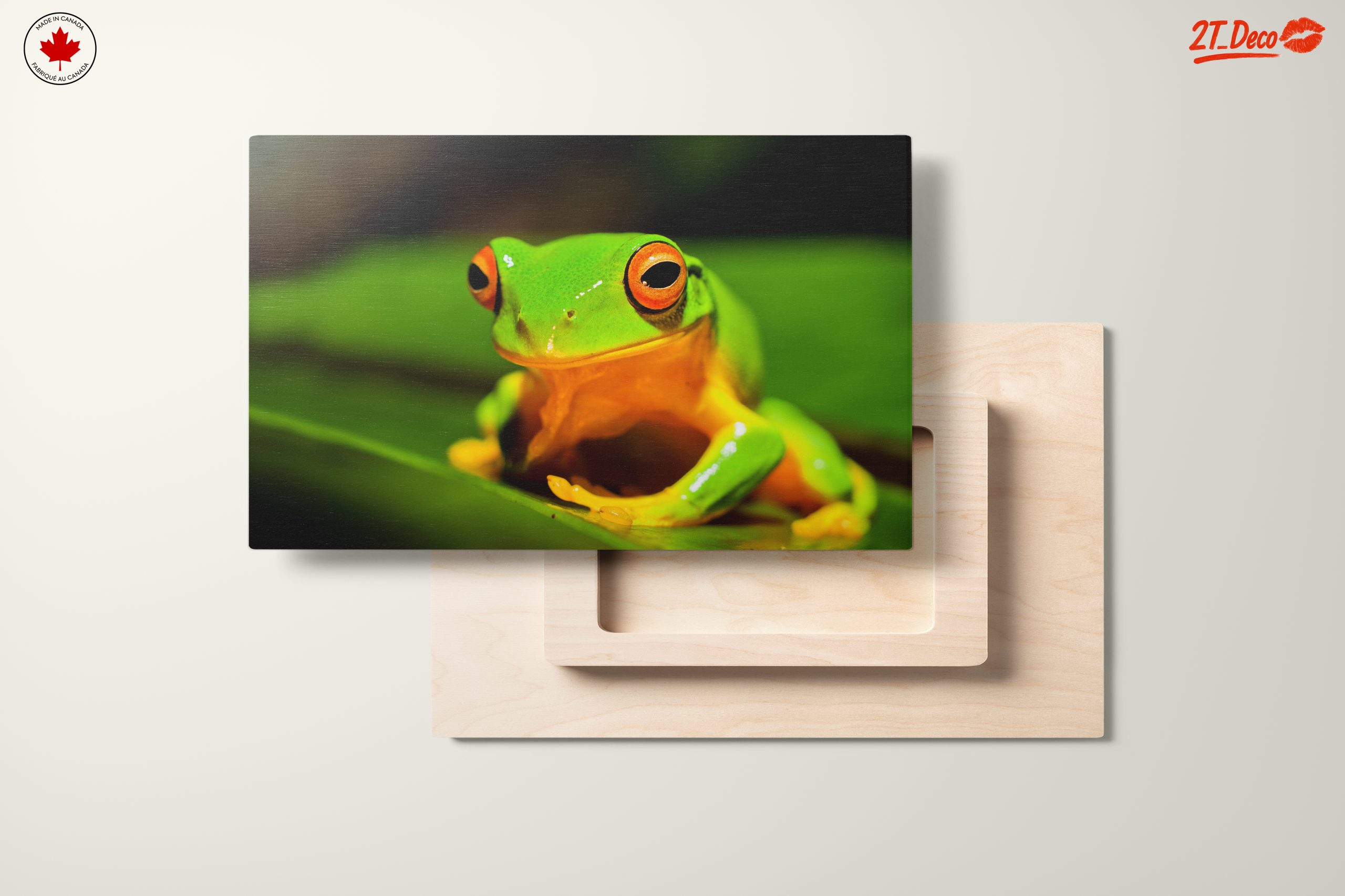Vibrant Tree Frog on Green Leaf - Image 11