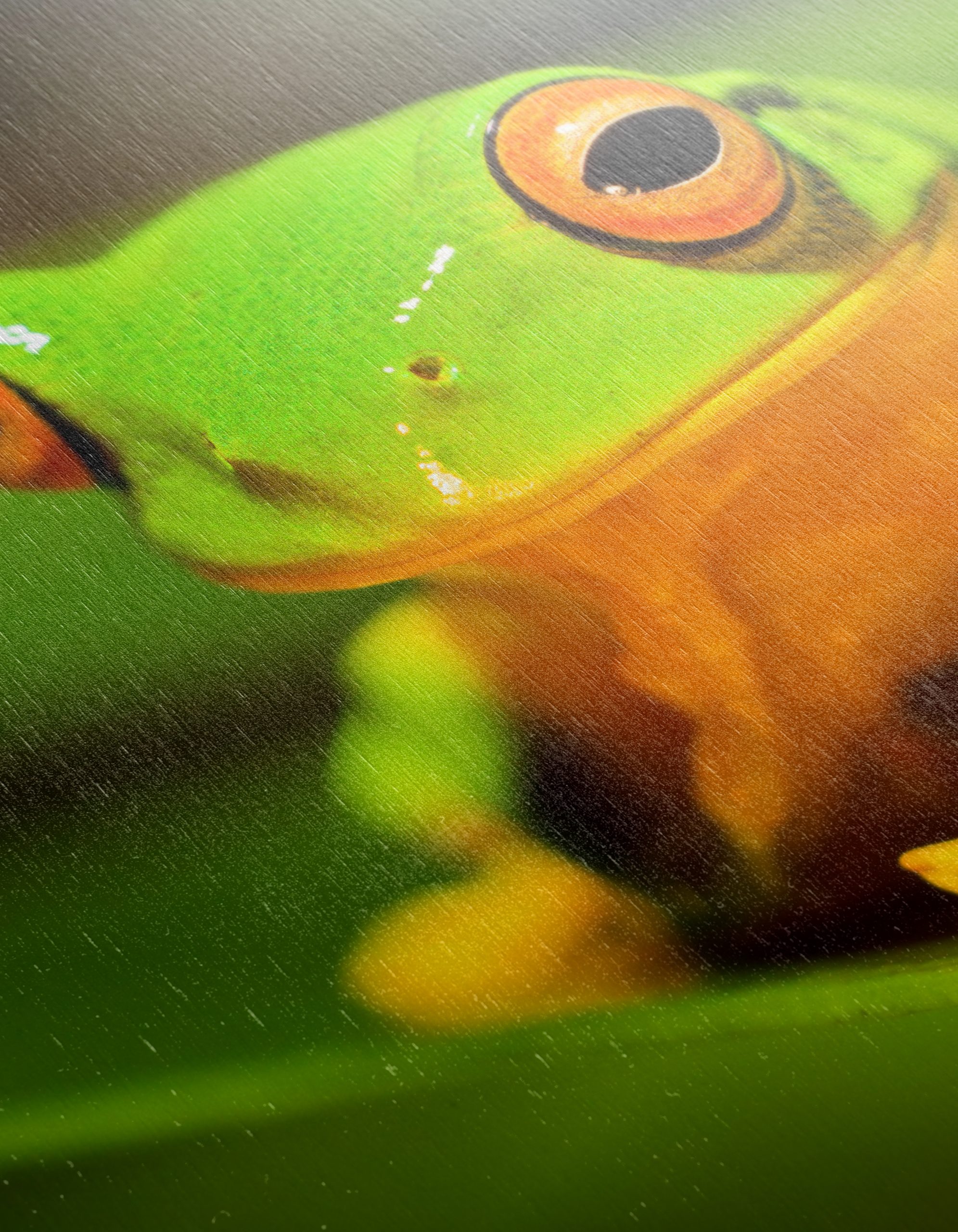 Vibrant Tree Frog on Green Leaf - Image 12