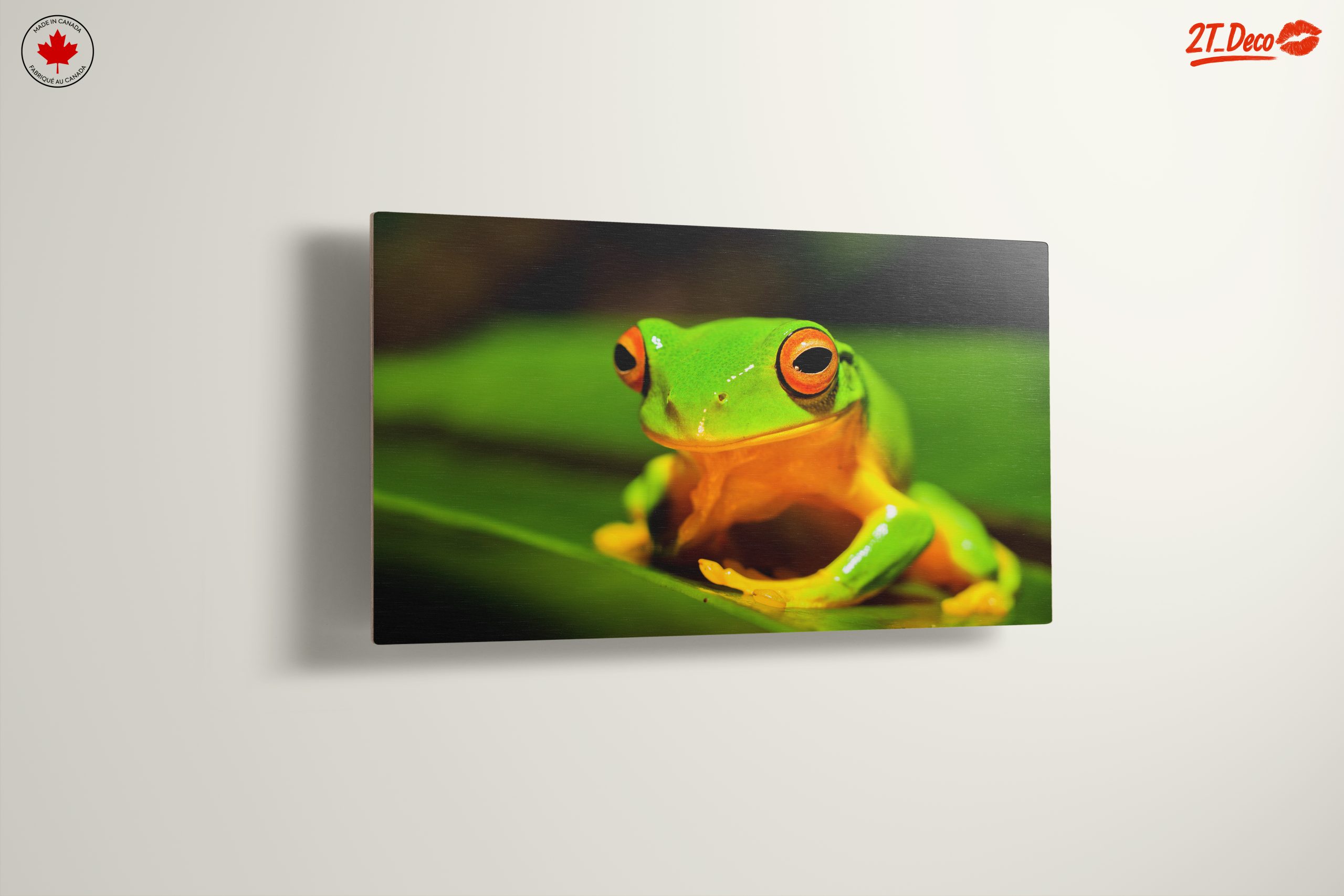 Vibrant Tree Frog on Green Leaf - Image 13
