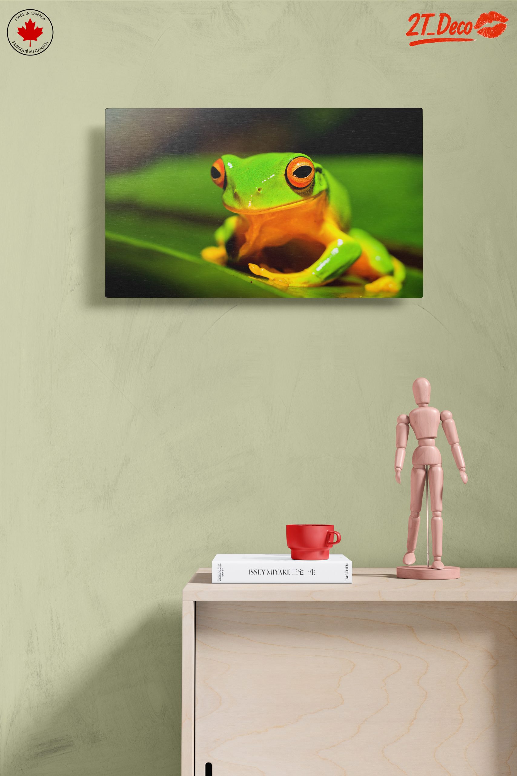 Vibrant Tree Frog on Green Leaf - Image 14