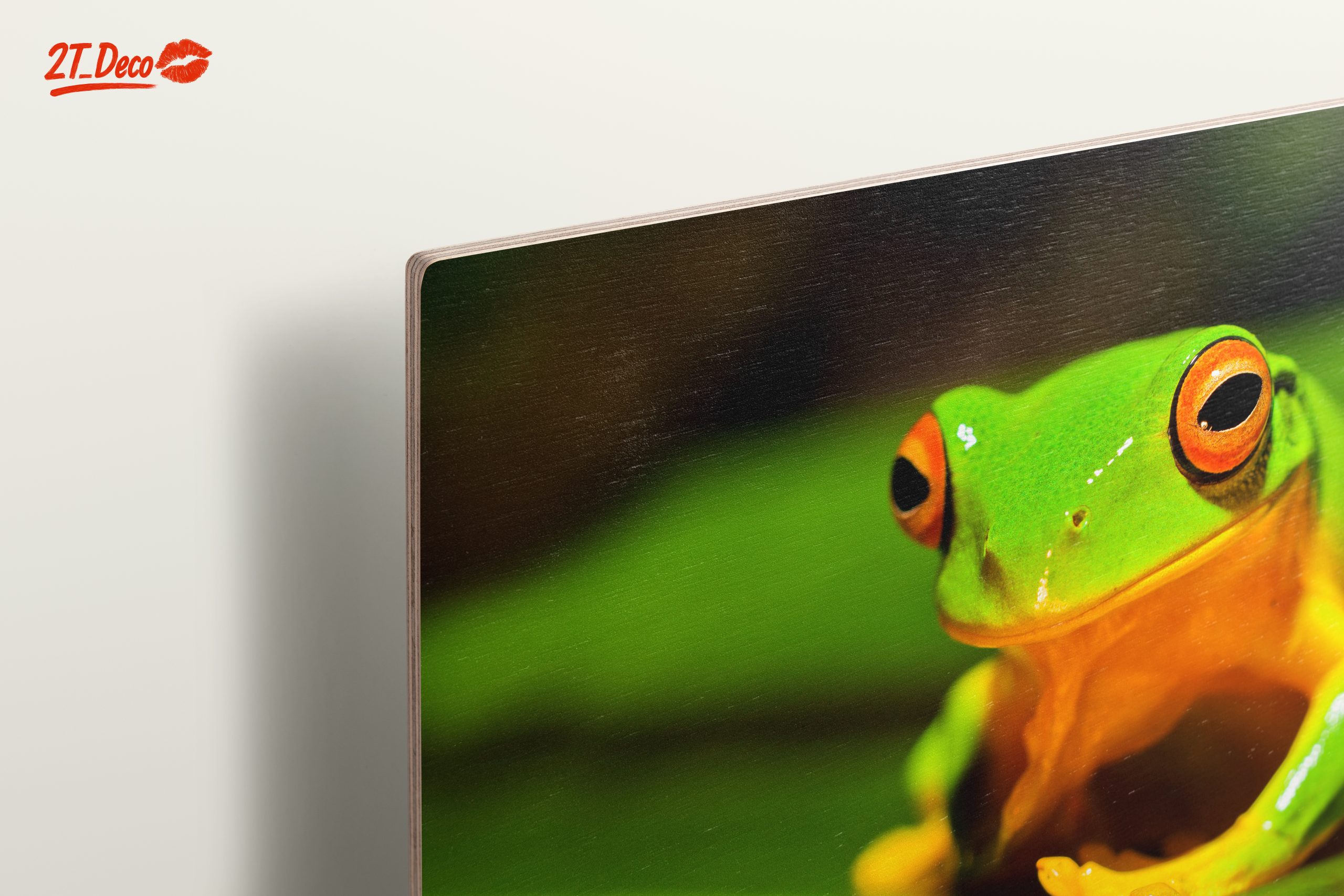 Vibrant Tree Frog on Green Leaf - Image 15