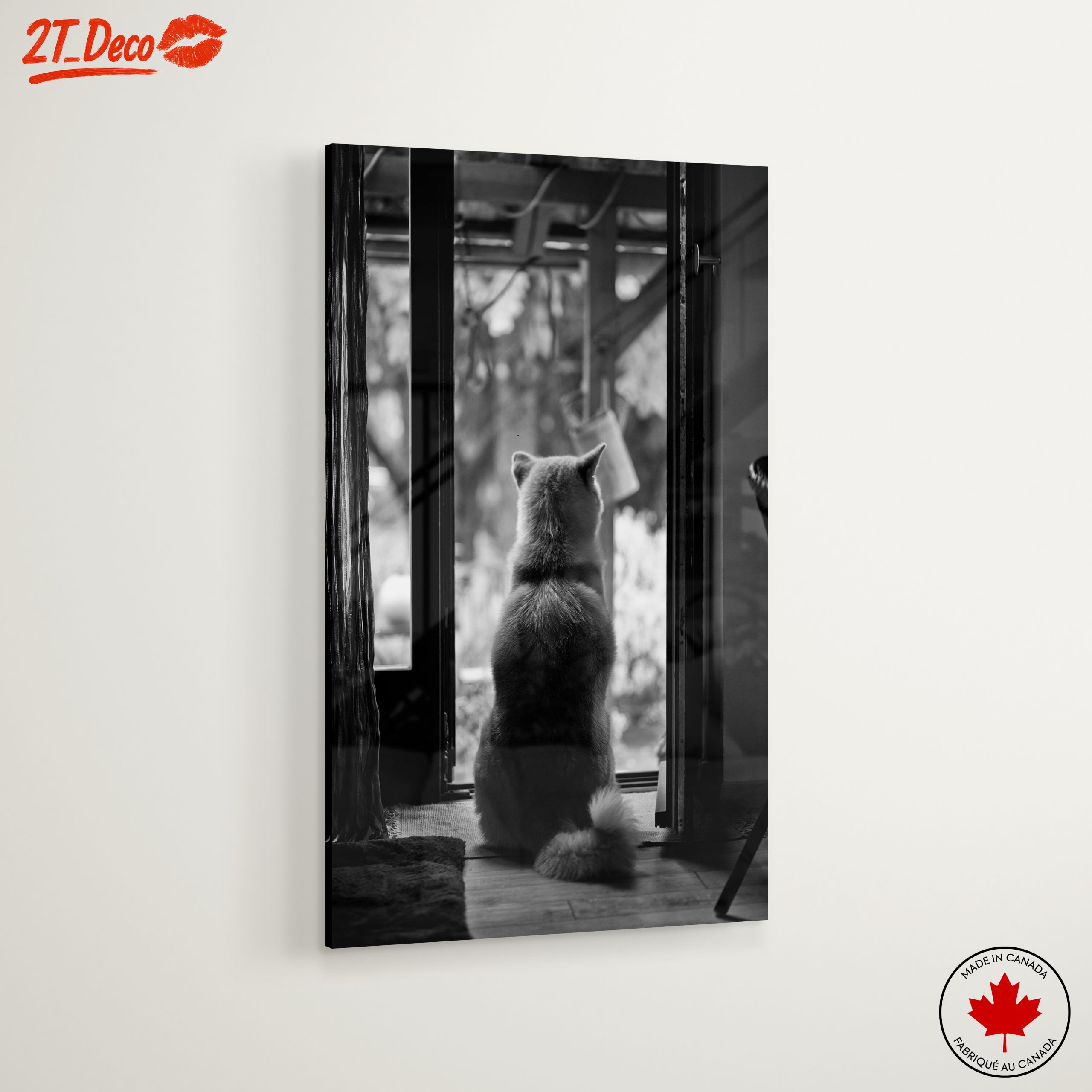 Dog Sitting By Doorway - Image 6