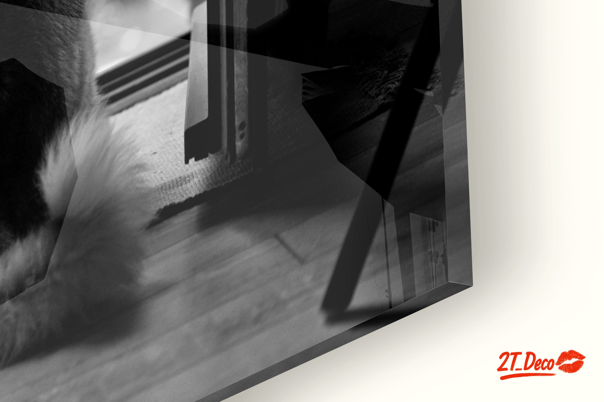 Dog Sitting By Doorway - Image 9