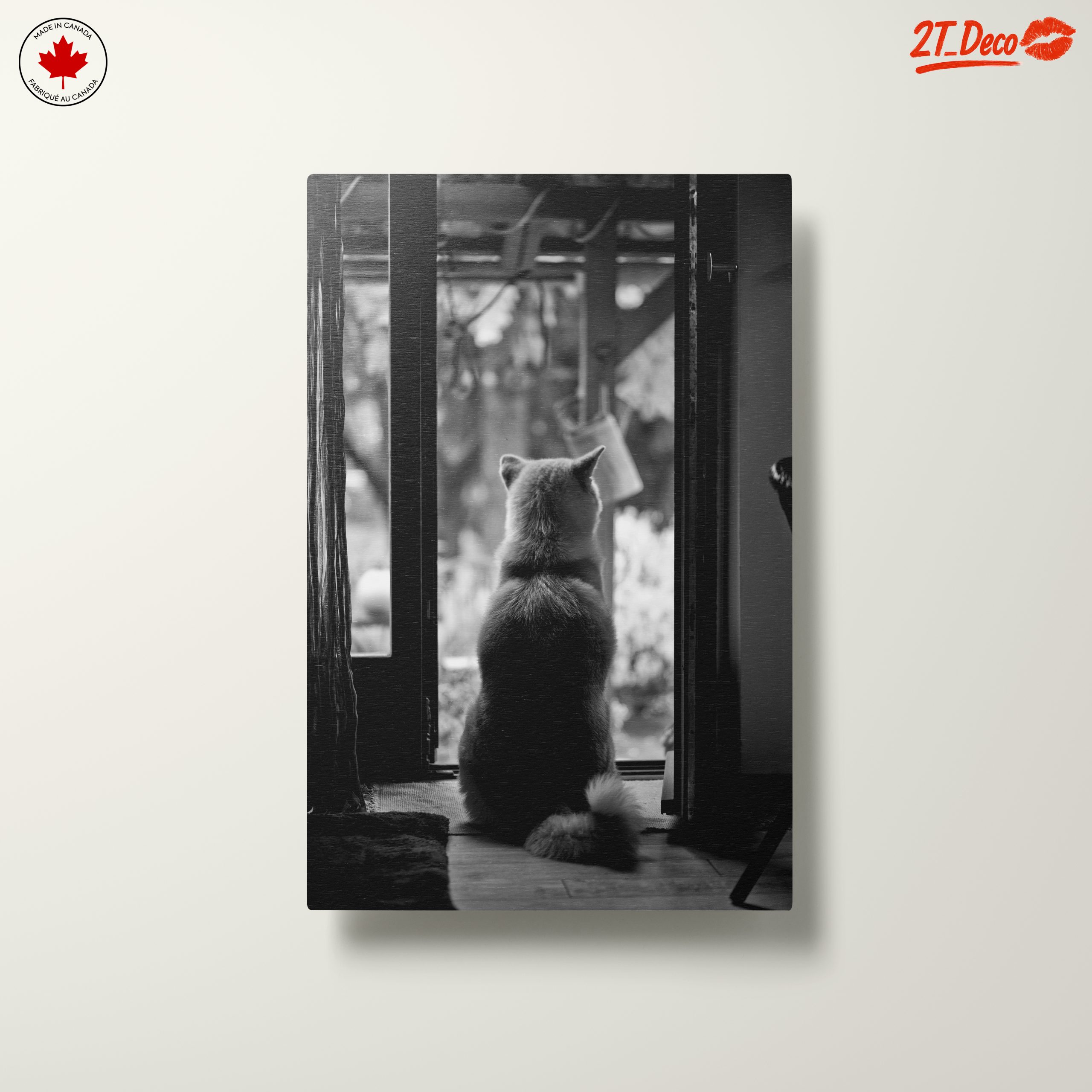 Dog Sitting By Doorway - Image 10