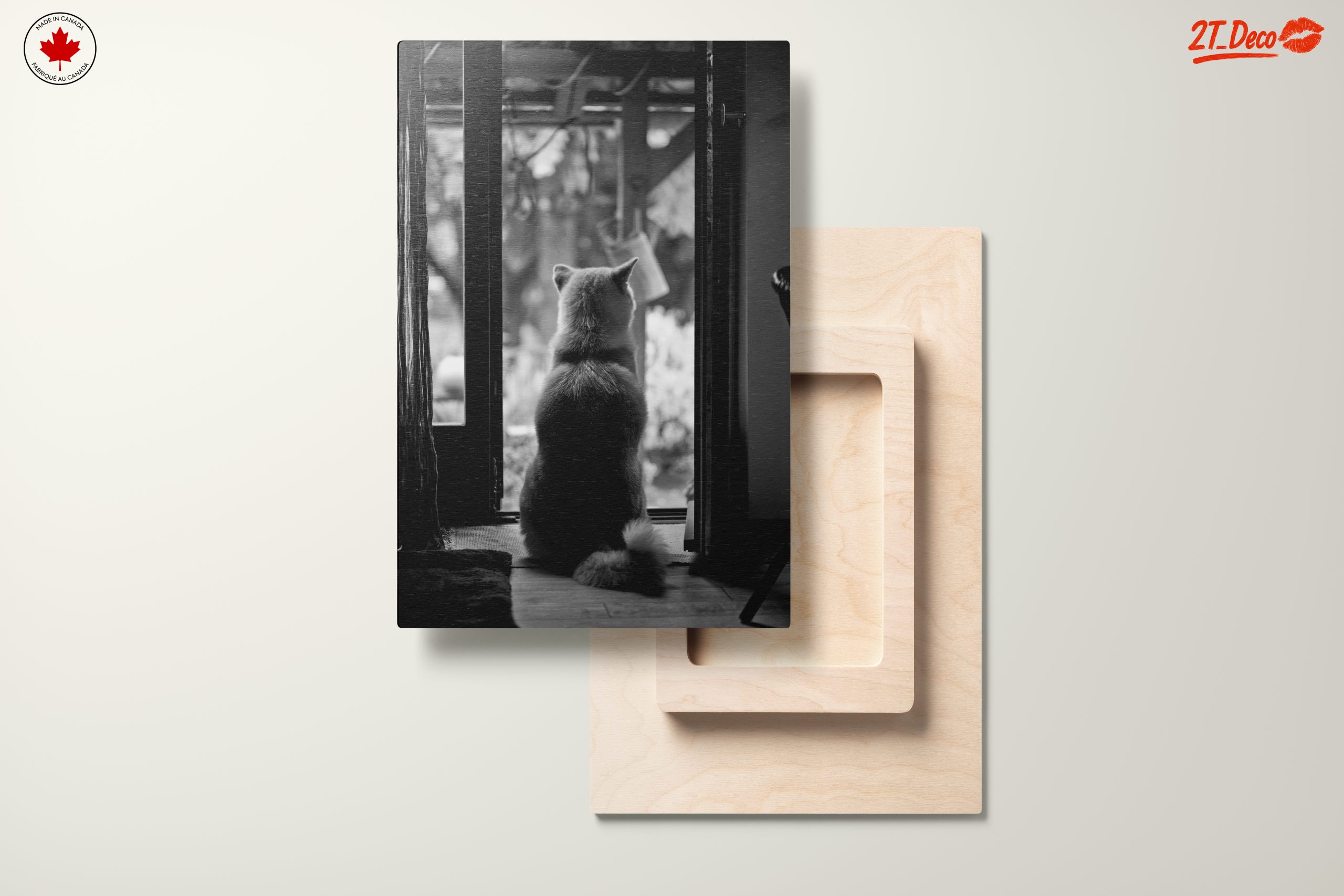 Dog Sitting By Doorway - Image 11