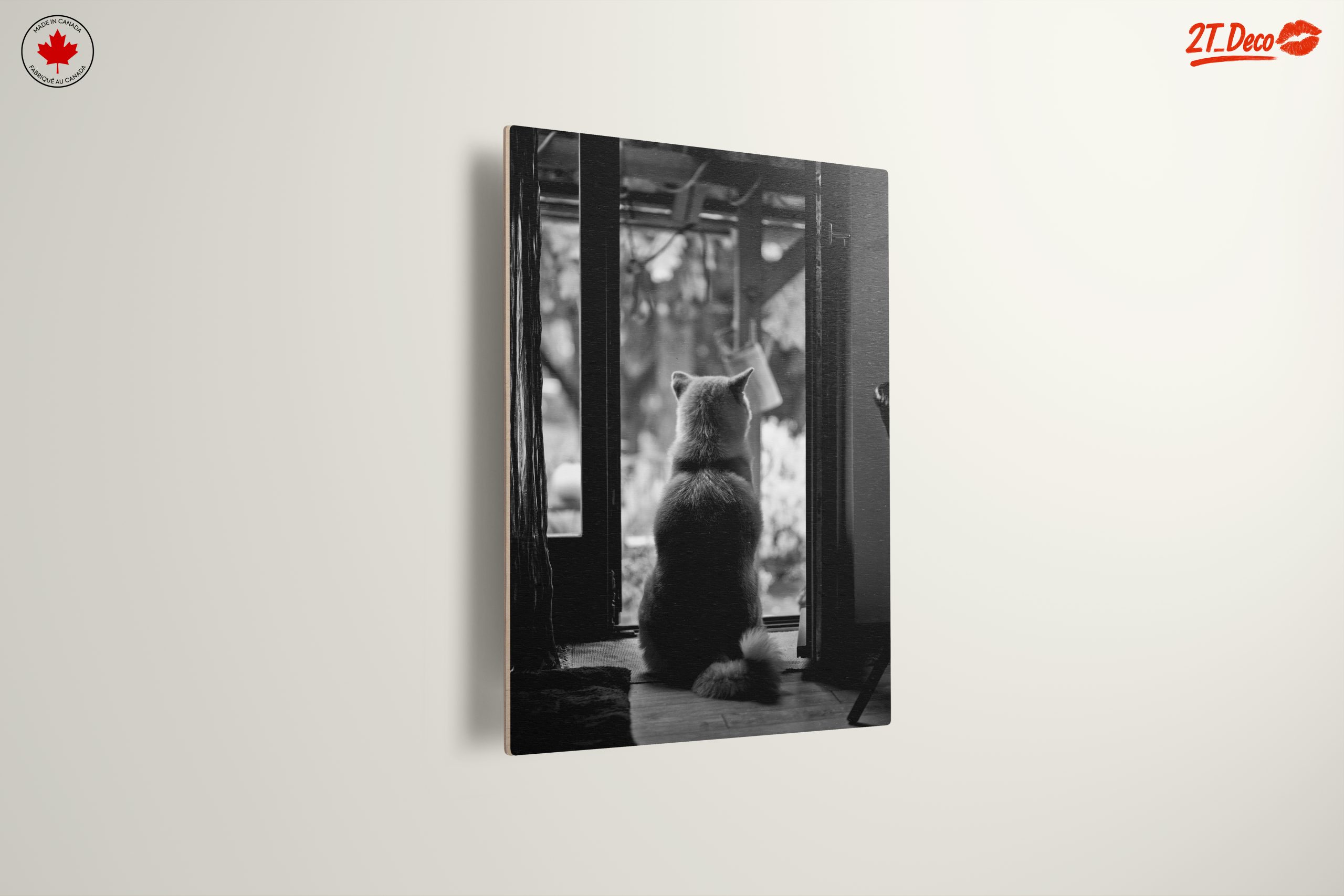 Dog Sitting By Doorway - Image 13