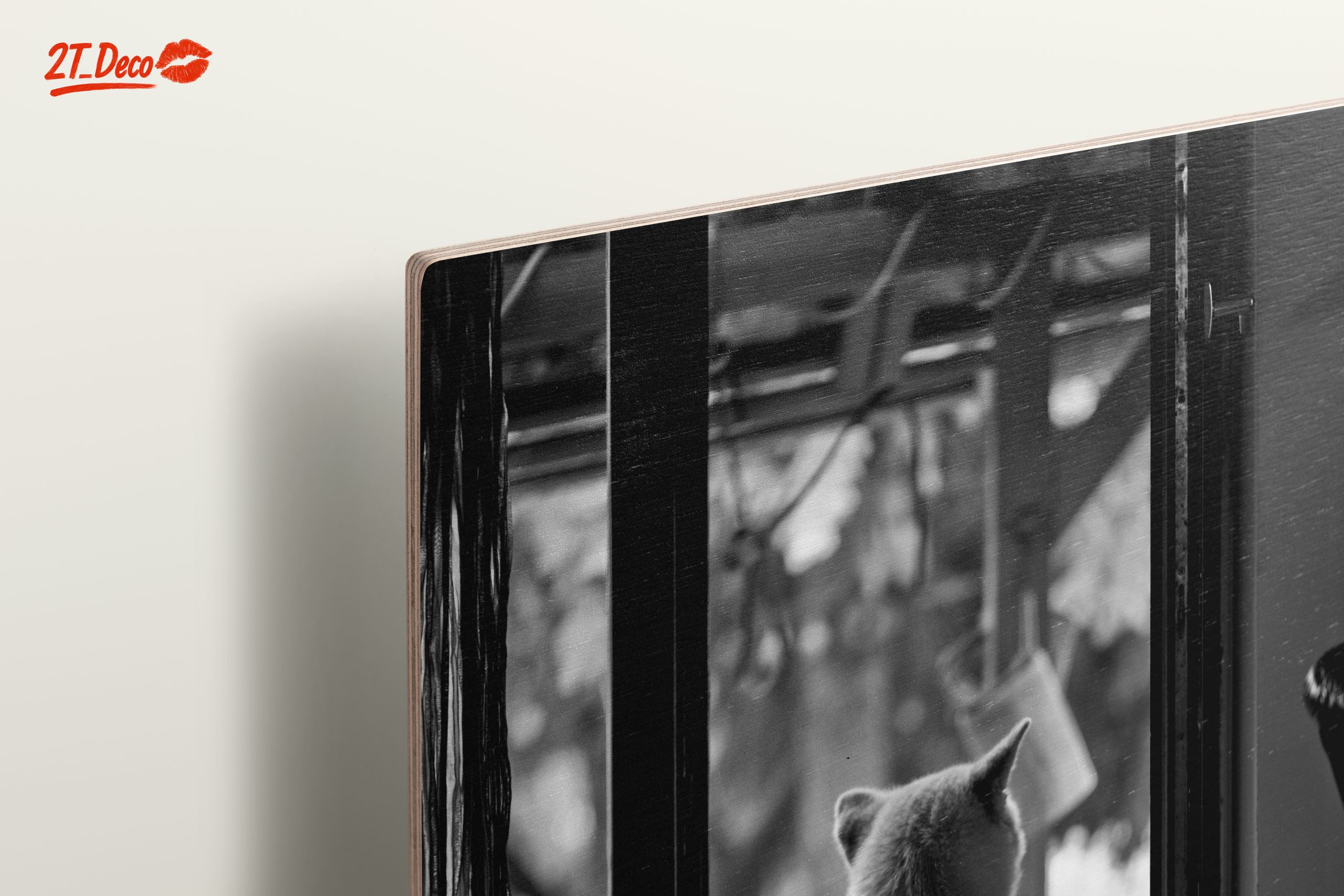 Dog Sitting By Doorway - Image 15