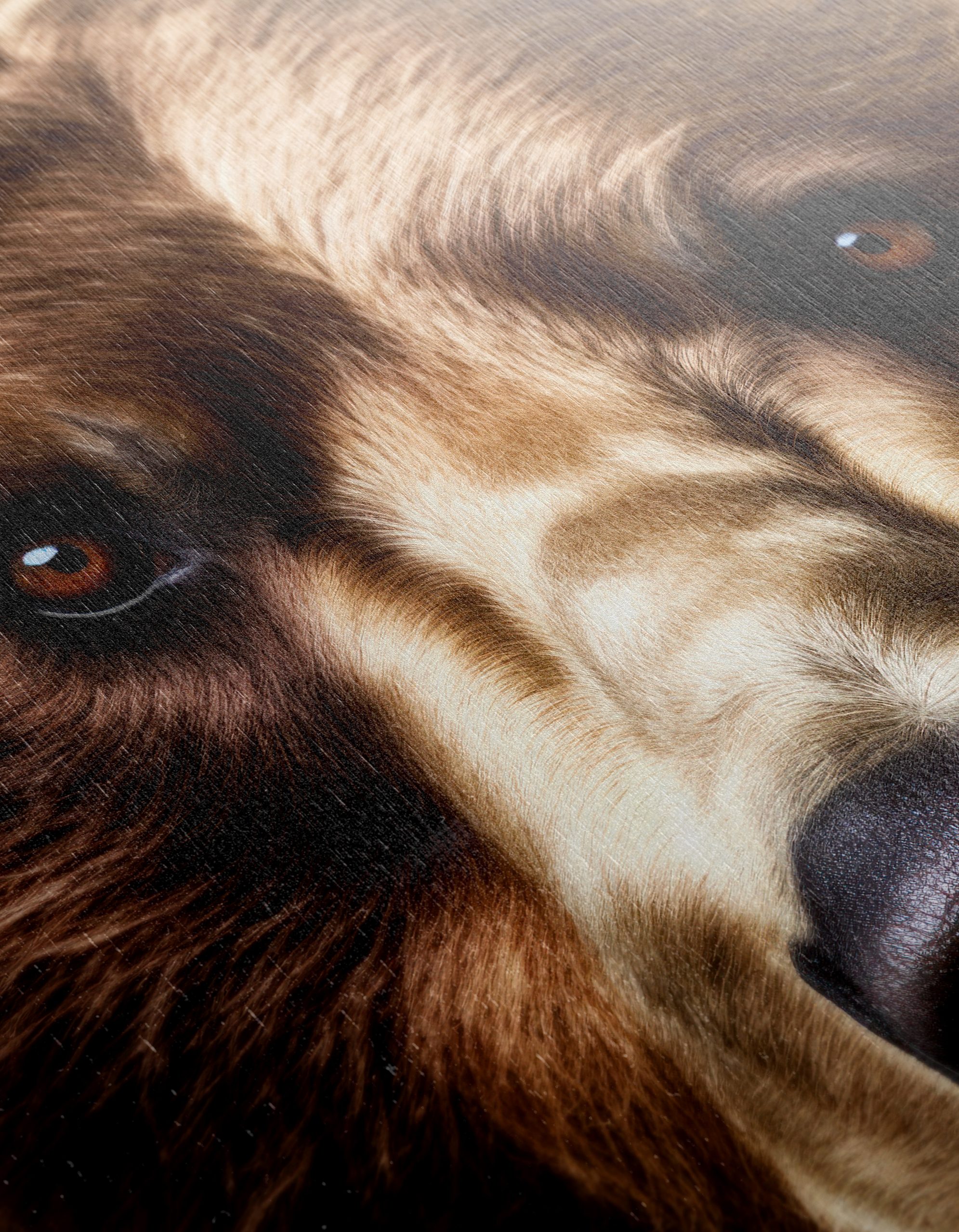 Stunning Bear Portrait Art 2 - Image 12