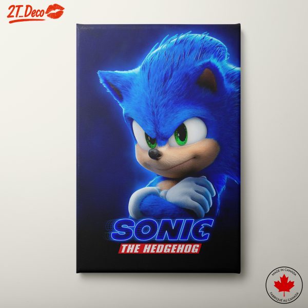 Sonic The Hedgehog Anime Art