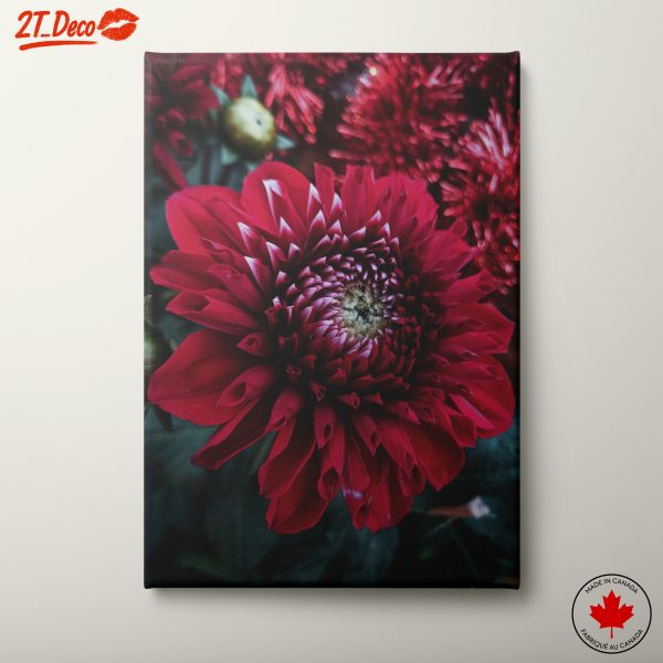 Vibrant Red Flower Artwork