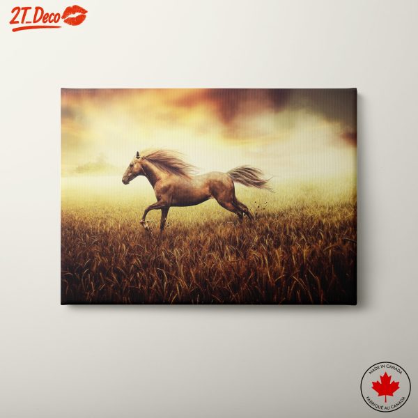 Galloping Horse Wall Art