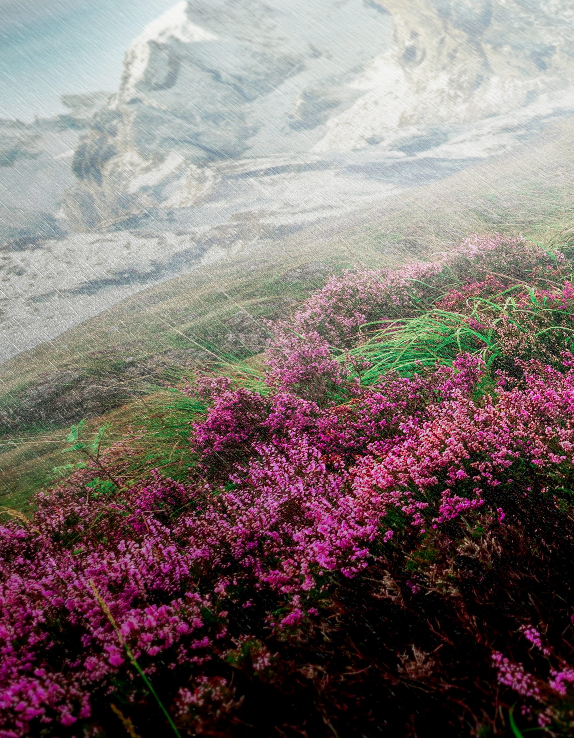Majestic Mountain Path with Wildflowers - Image 12
