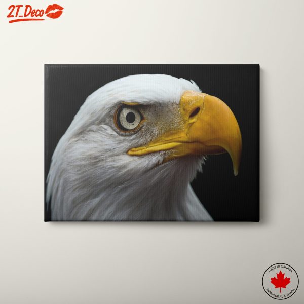 Majestic Eagle Wall Art 2