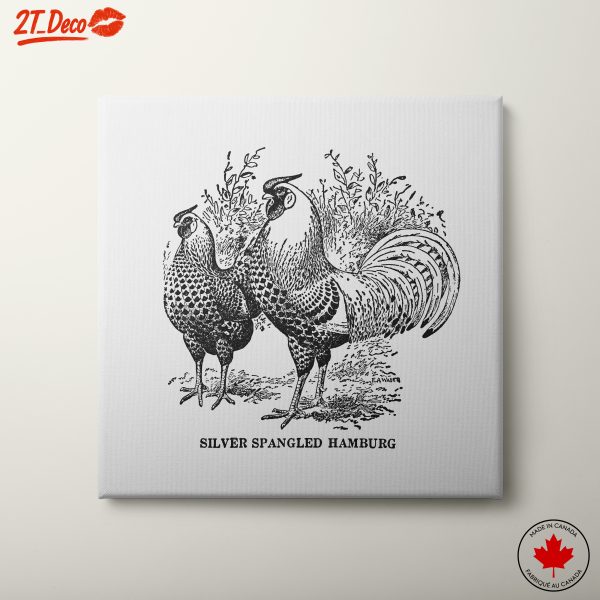 Silver Spangled Hamburg Chickens Art