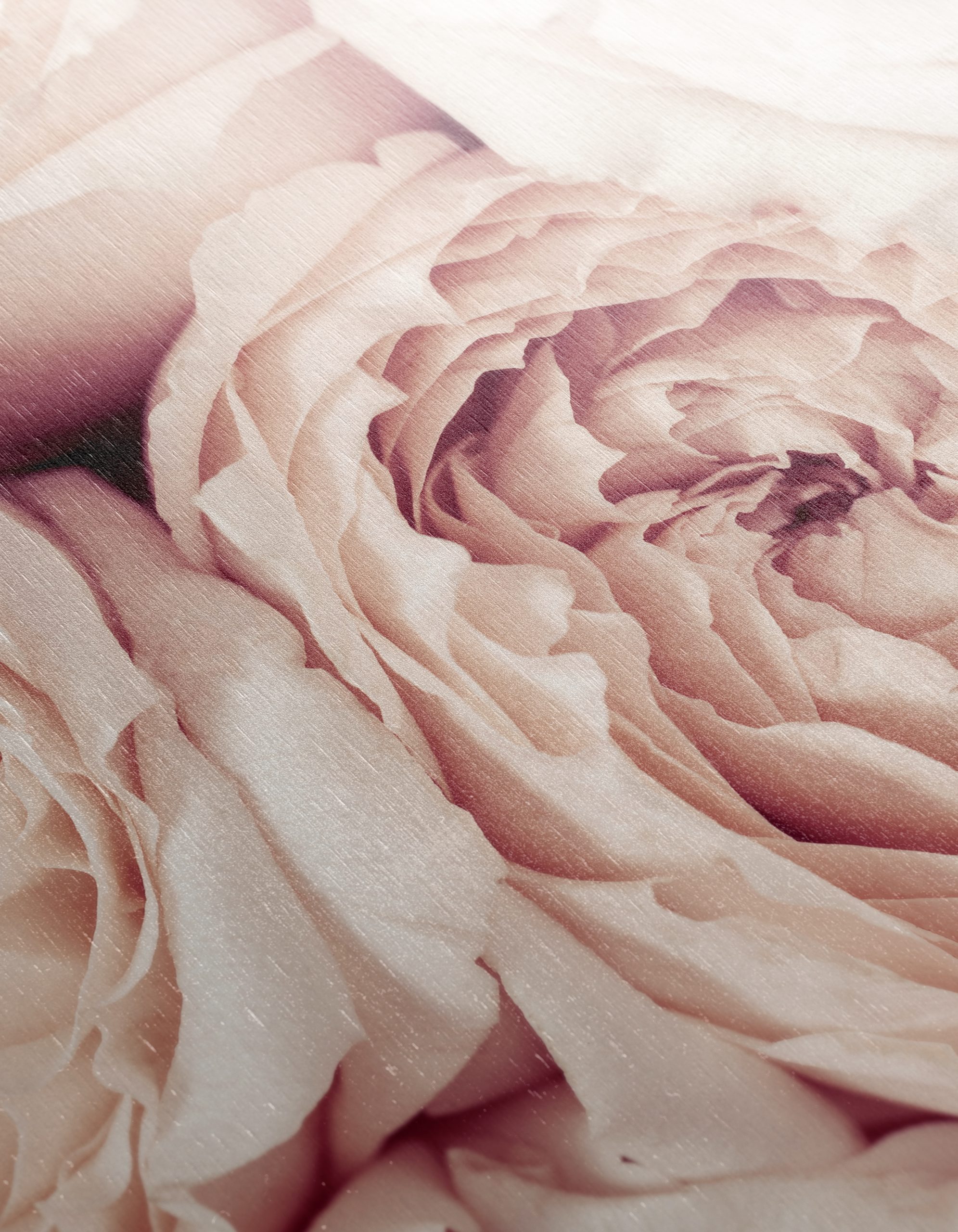 Elegant Pink Roses Arrangement - Image 12