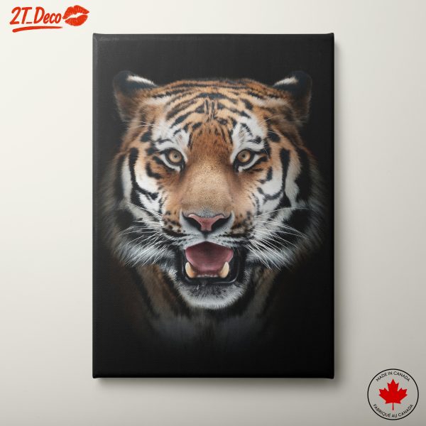 Majestic Close-Up of a Tiger Face