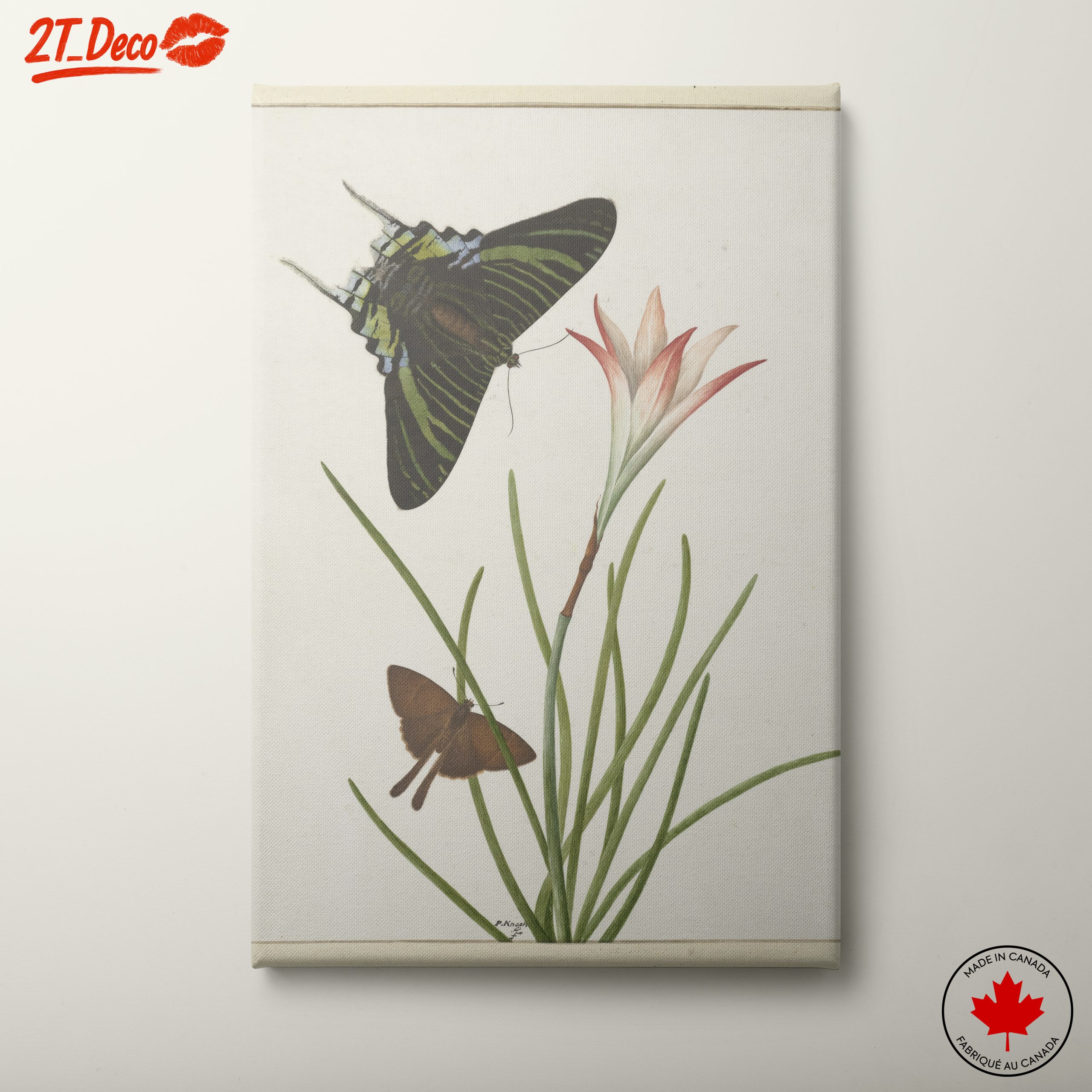 Colorful Butterfly Artwork with Floral Background