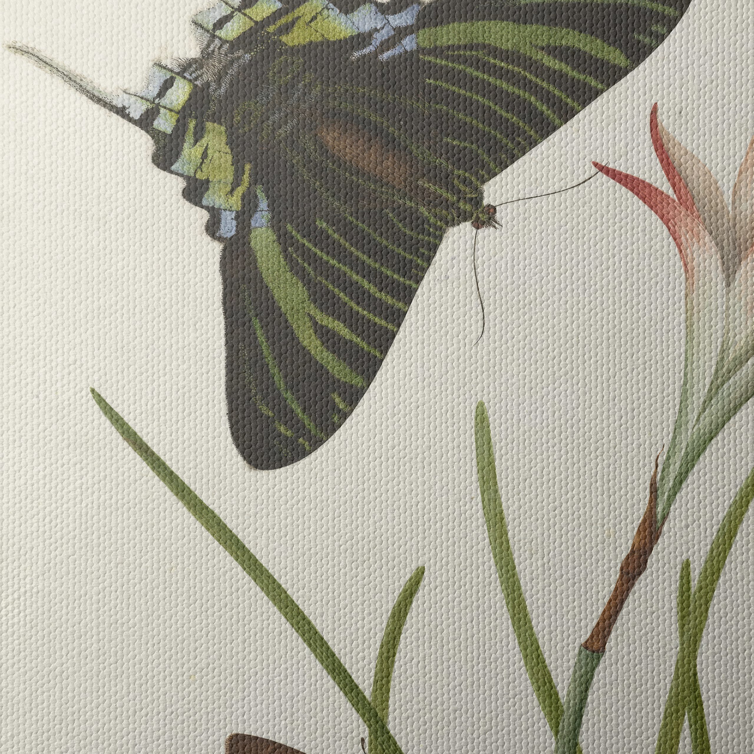 Colorful Butterfly Artwork with Floral Background - Image 4