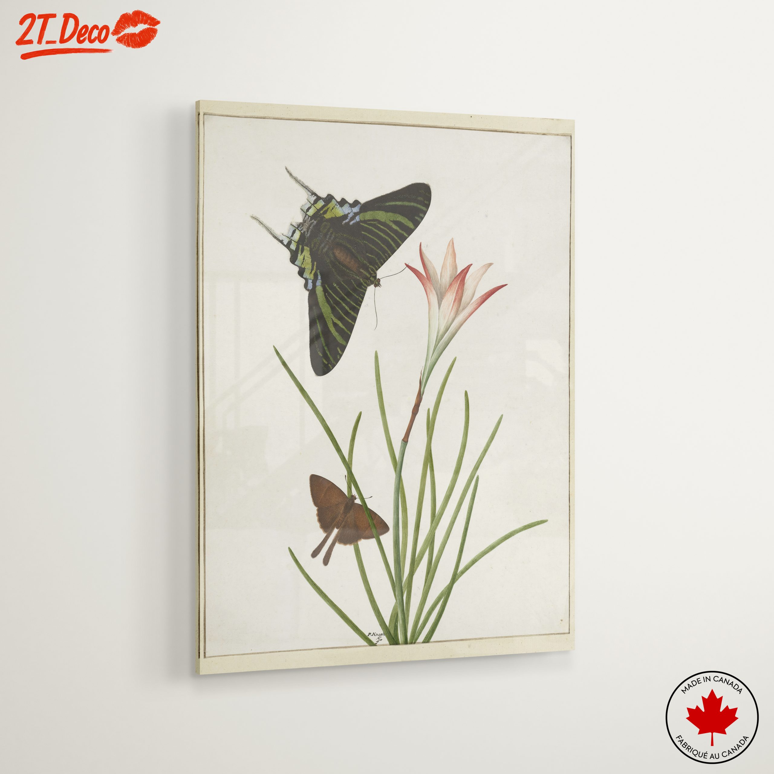 Colorful Butterfly Artwork with Floral Background - Image 6