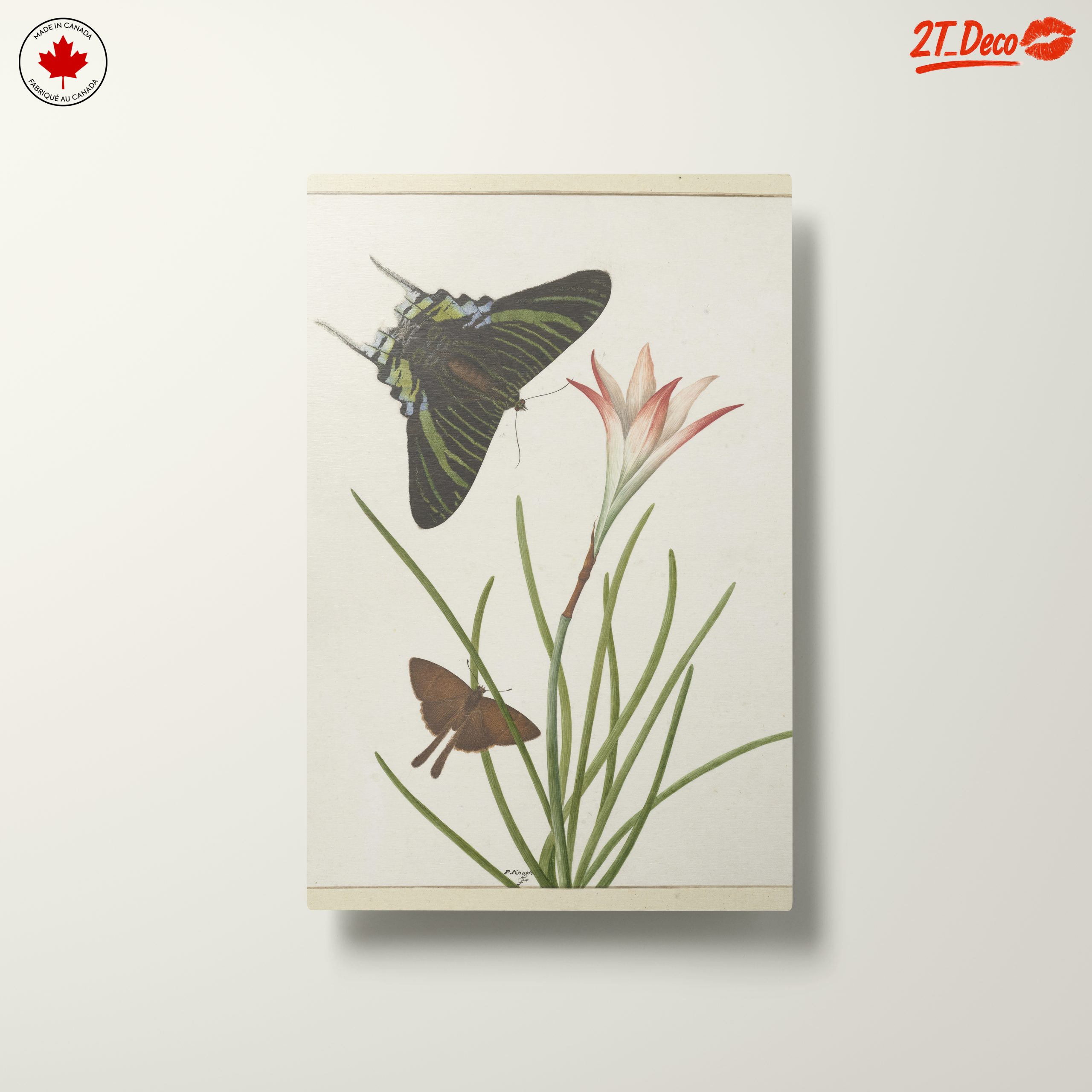 Colorful Butterfly Artwork with Floral Background - Image 10