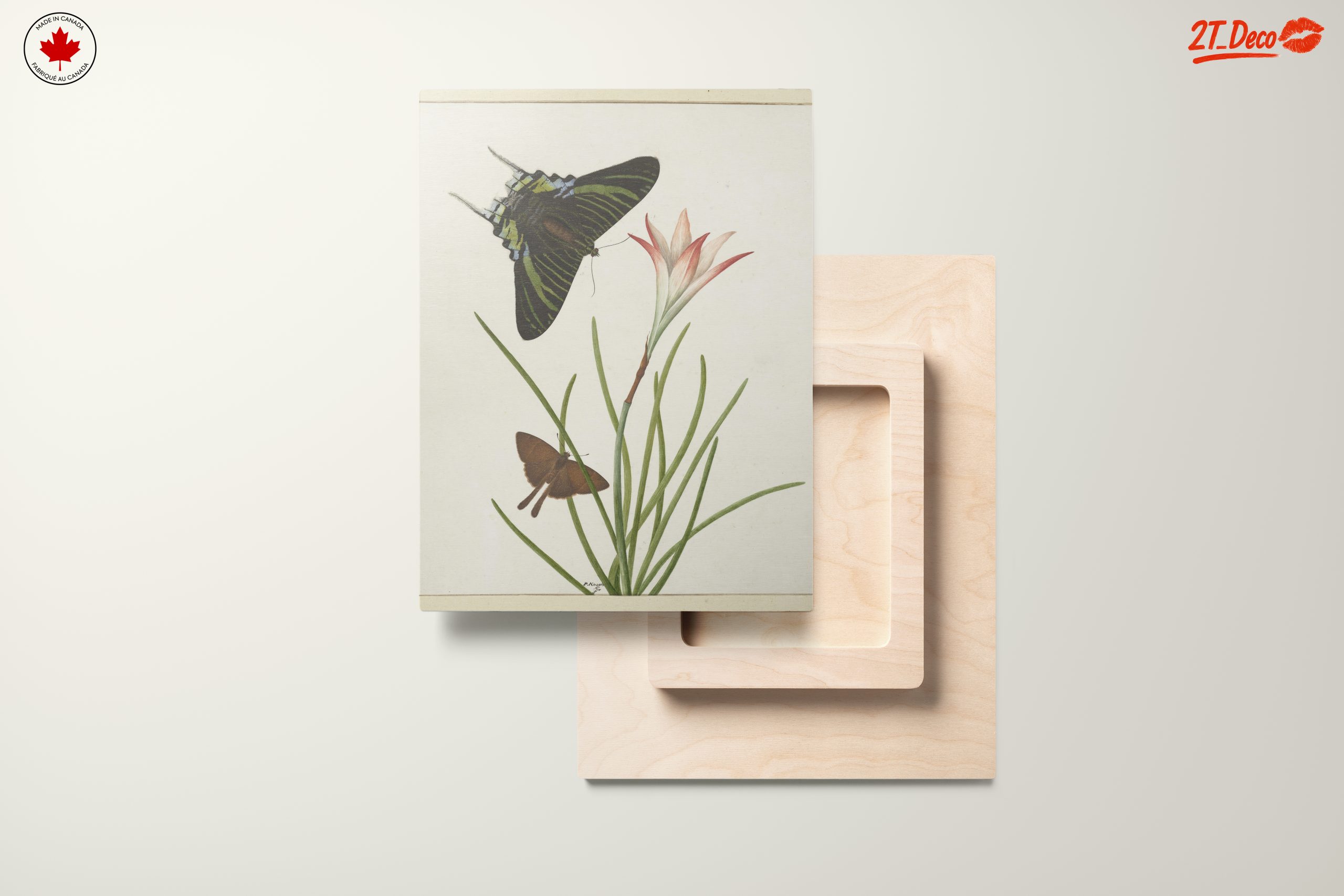 Colorful Butterfly Artwork with Floral Background - Image 11